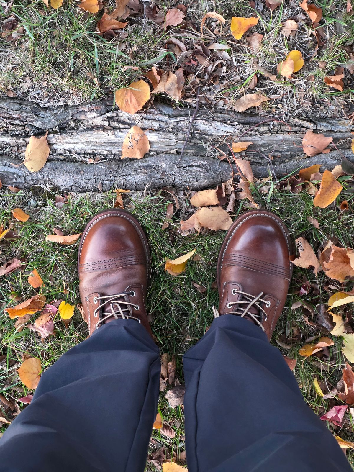 Photo by kananaios on October 27, 2025 of the Red Wing Iron Ranger in S.B. Foot Amber Harness.
