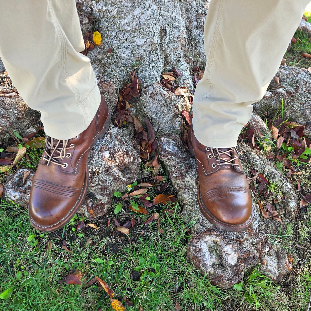 Photo by kananaios on November 4, 2025 of the Red Wing Iron Ranger in S.B. Foot Amber Harness.