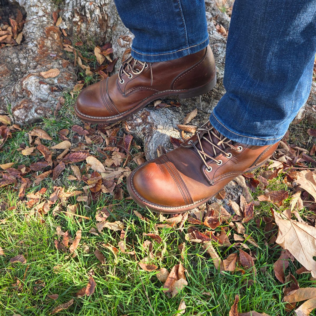 Photo by kananaios on December 11, 2025 of the Red Wing Iron Ranger in S.B. Foot Amber Harness.