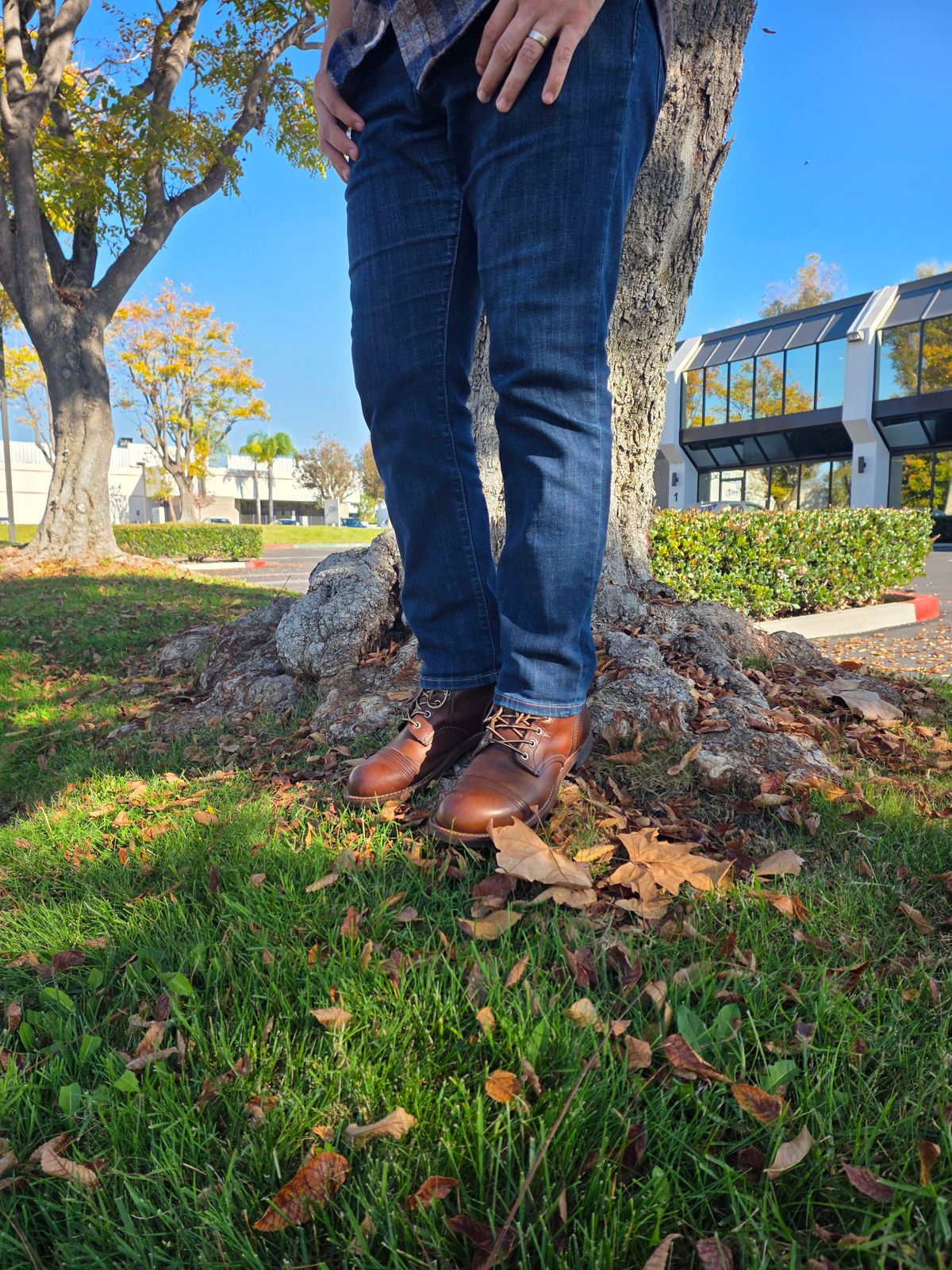 Photo by kananaios on December 11, 2025 of the Red Wing Iron Ranger in S.B. Foot Amber Harness.