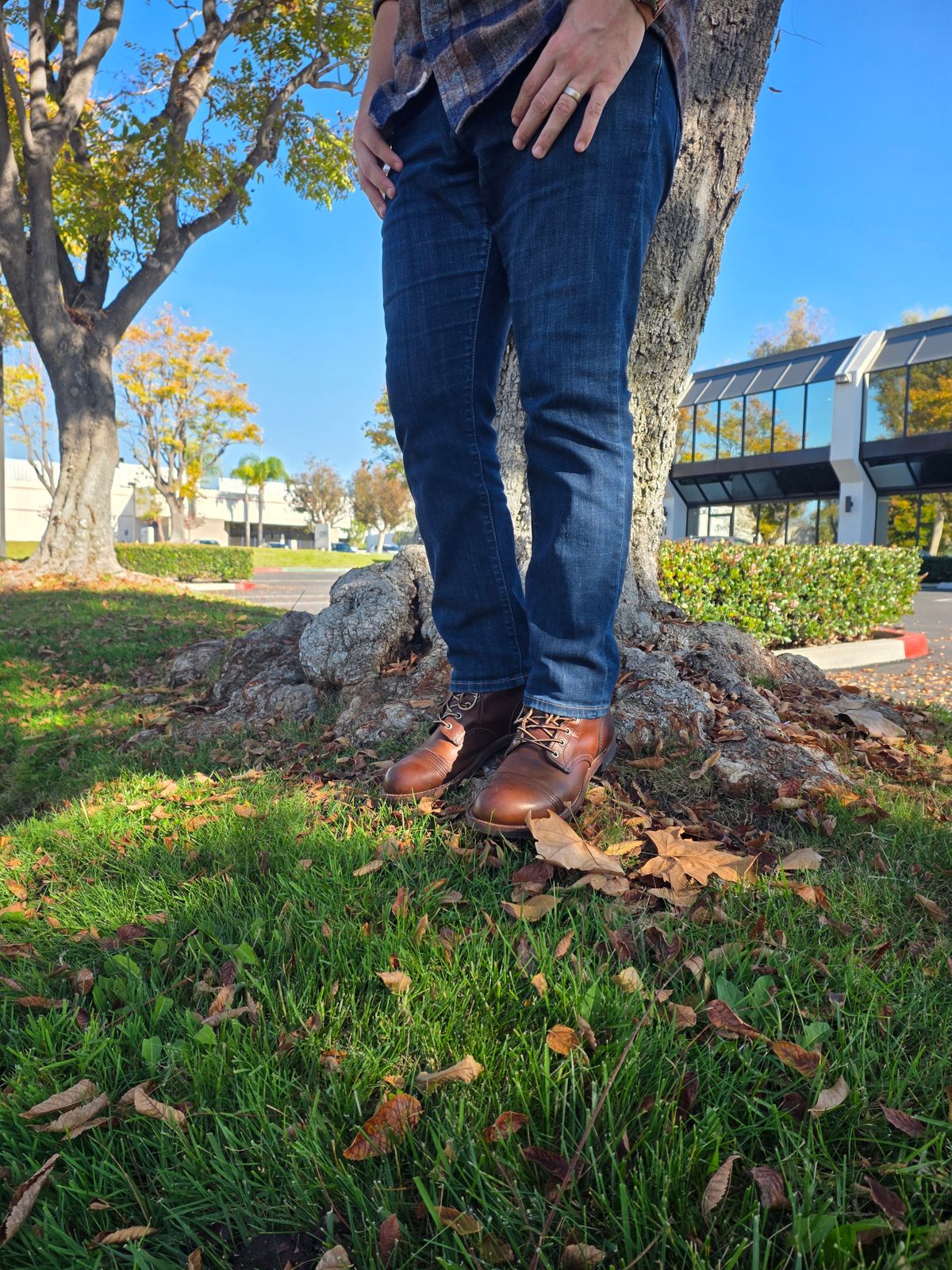 Photo by kananaios on December 11, 2025 of the Red Wing Iron Ranger in S.B. Foot Amber Harness.