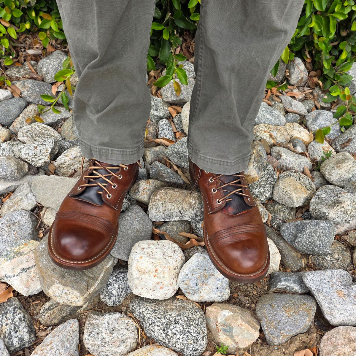 Photo by kananaios on March 31, 2026 of the Red Wing Iron Ranger in S.B. Foot Amber Harness.