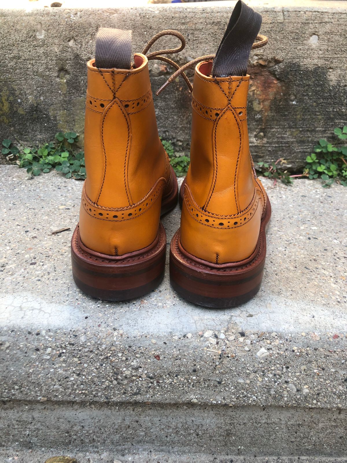 Photo by aganz on October 3, 2022 of the Tricker's Unknown Model in Acorn Antique.