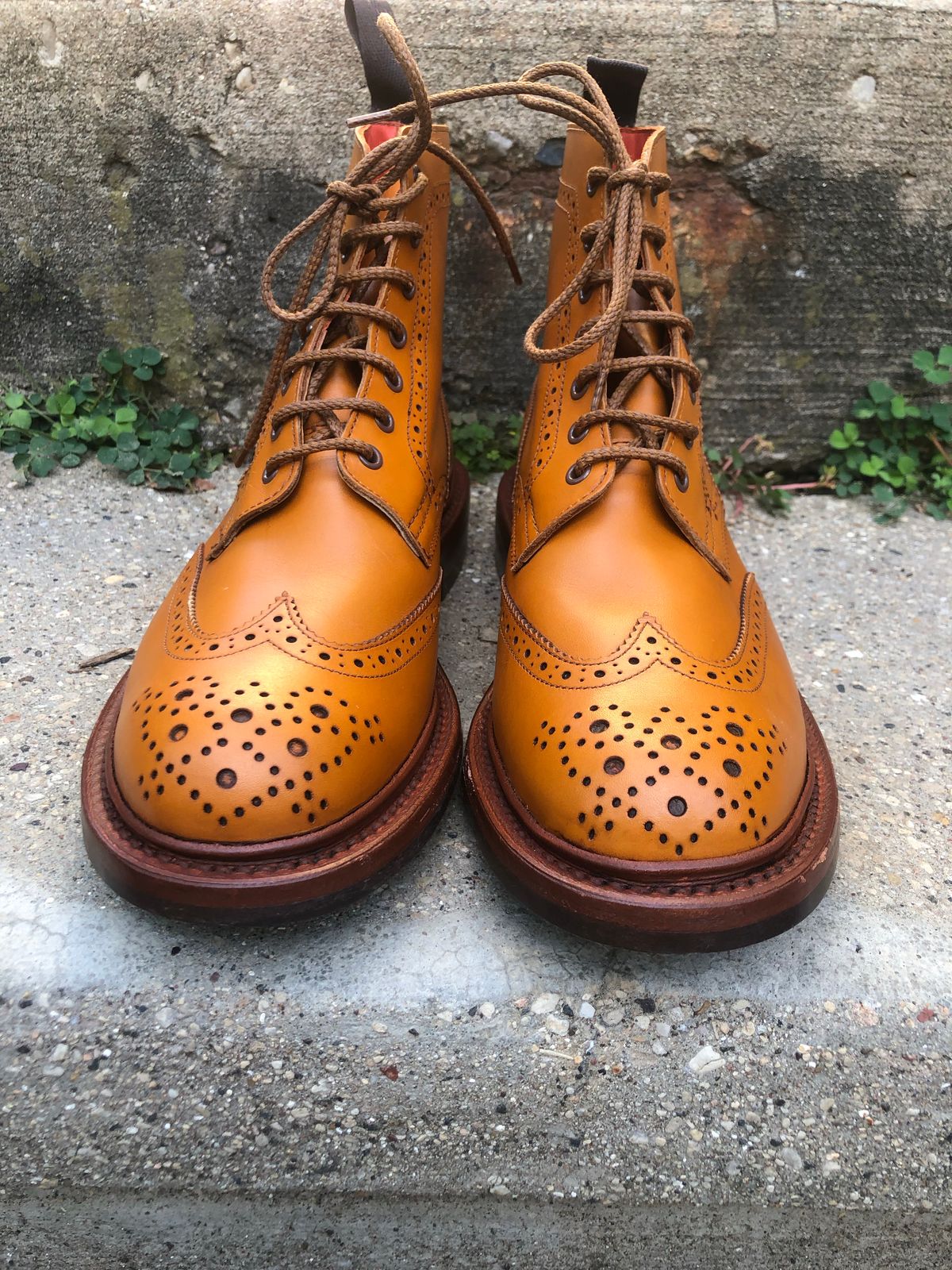 Photo by aganz on October 3, 2022 of the Tricker's Unknown Model in Acorn Antique.
