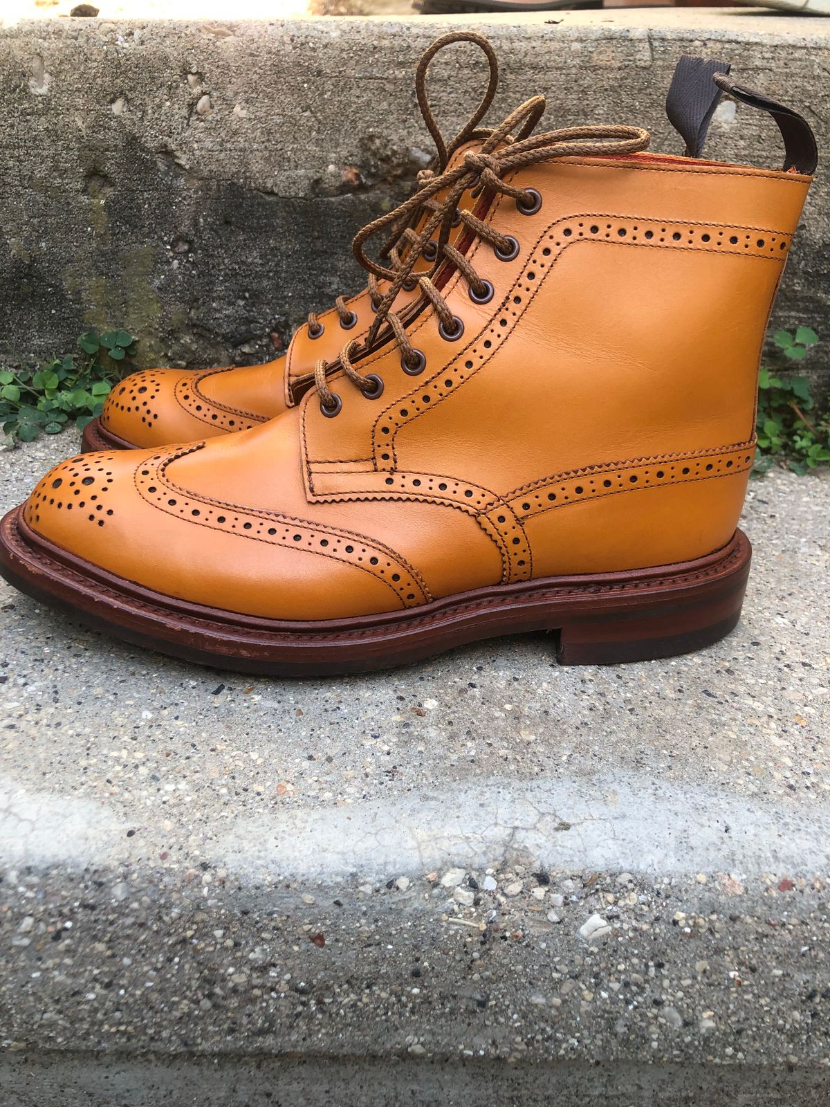 Photo by aganz on October 3, 2022 of the Tricker's Unknown Model in Acorn Antique.
