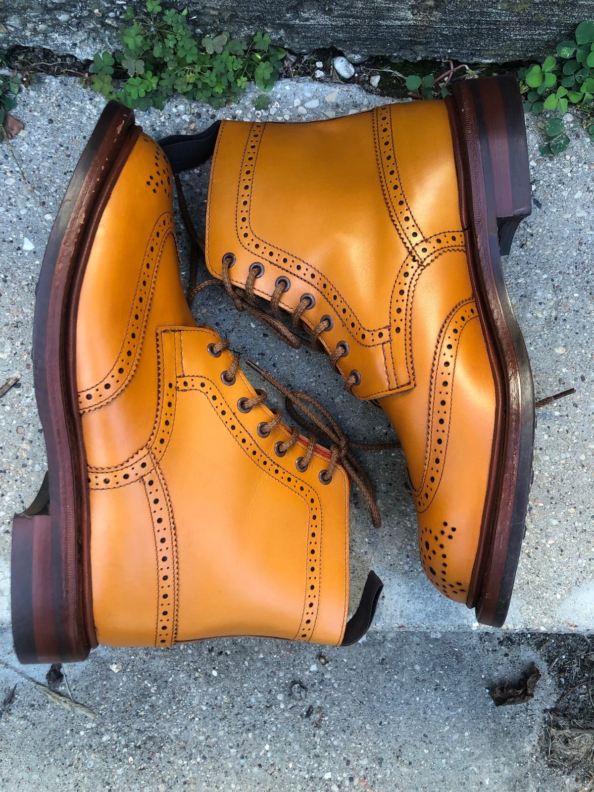 Photo by aganz on October 3, 2022 of the Tricker's Unknown Model in Acorn Antique.