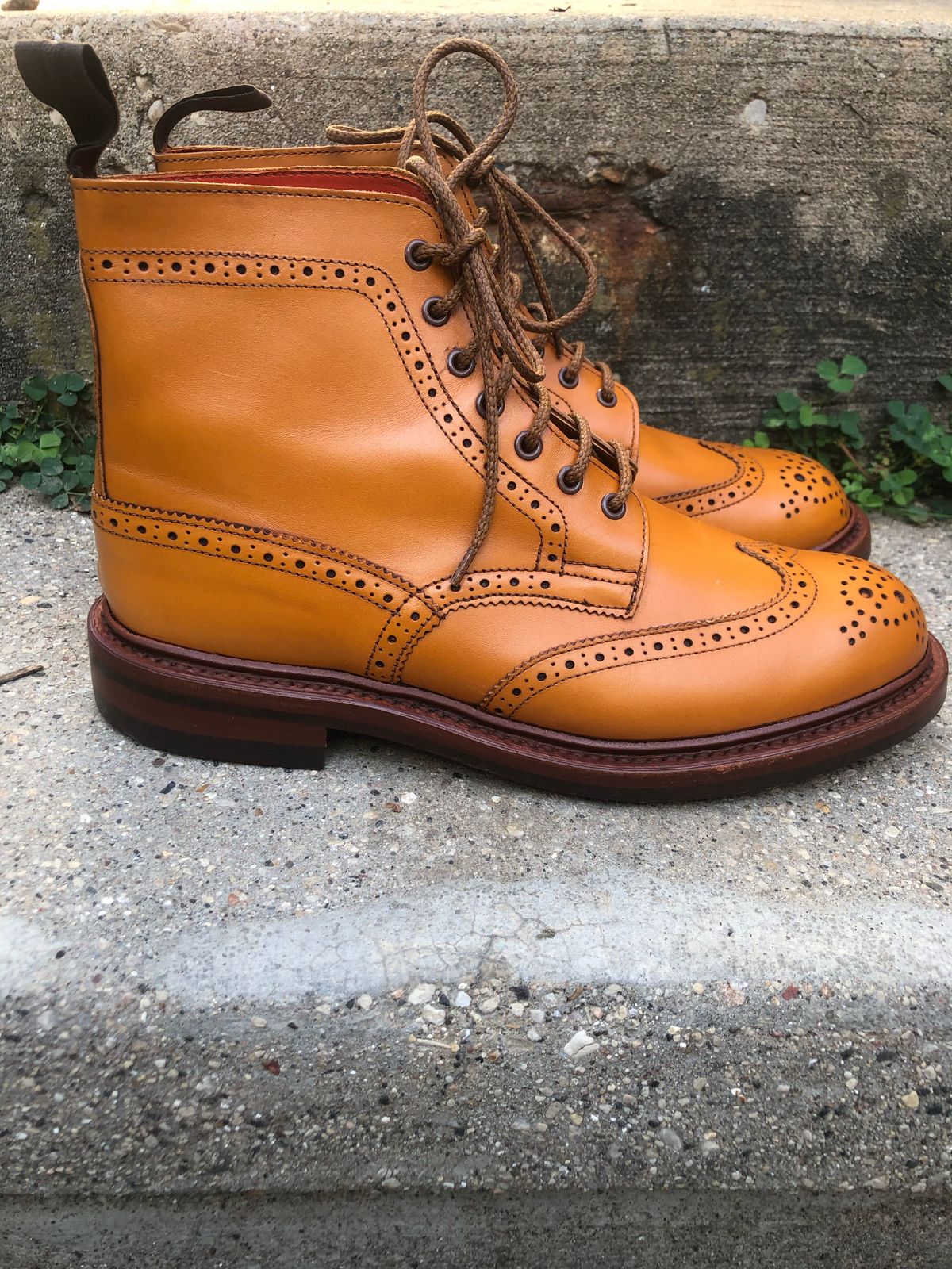 Photo by aganz on October 3, 2022 of the Tricker's Unknown Model in Acorn Antique.