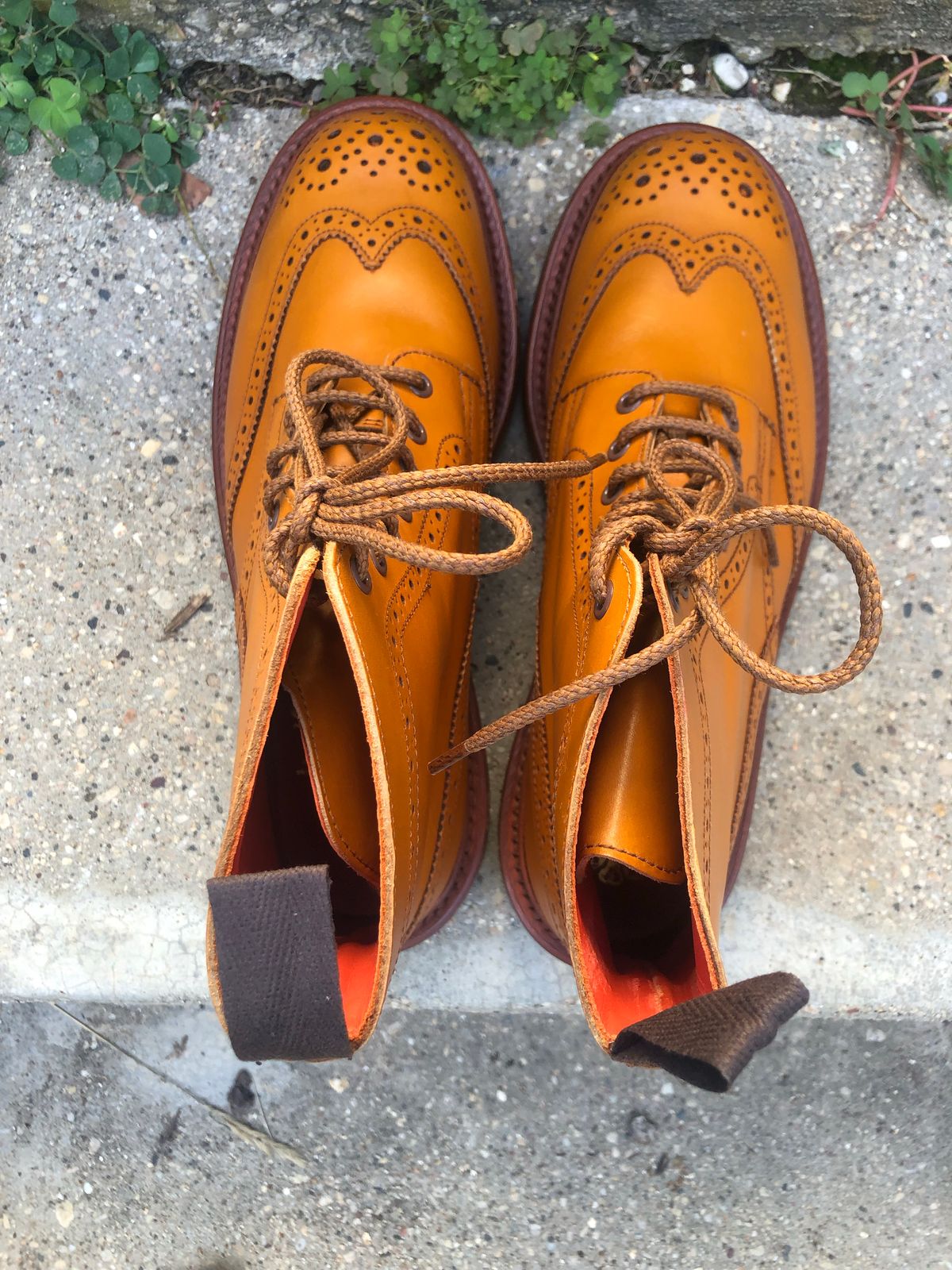 Photo by aganz on October 3, 2022 of the Tricker's Unknown Model in Acorn Antique.