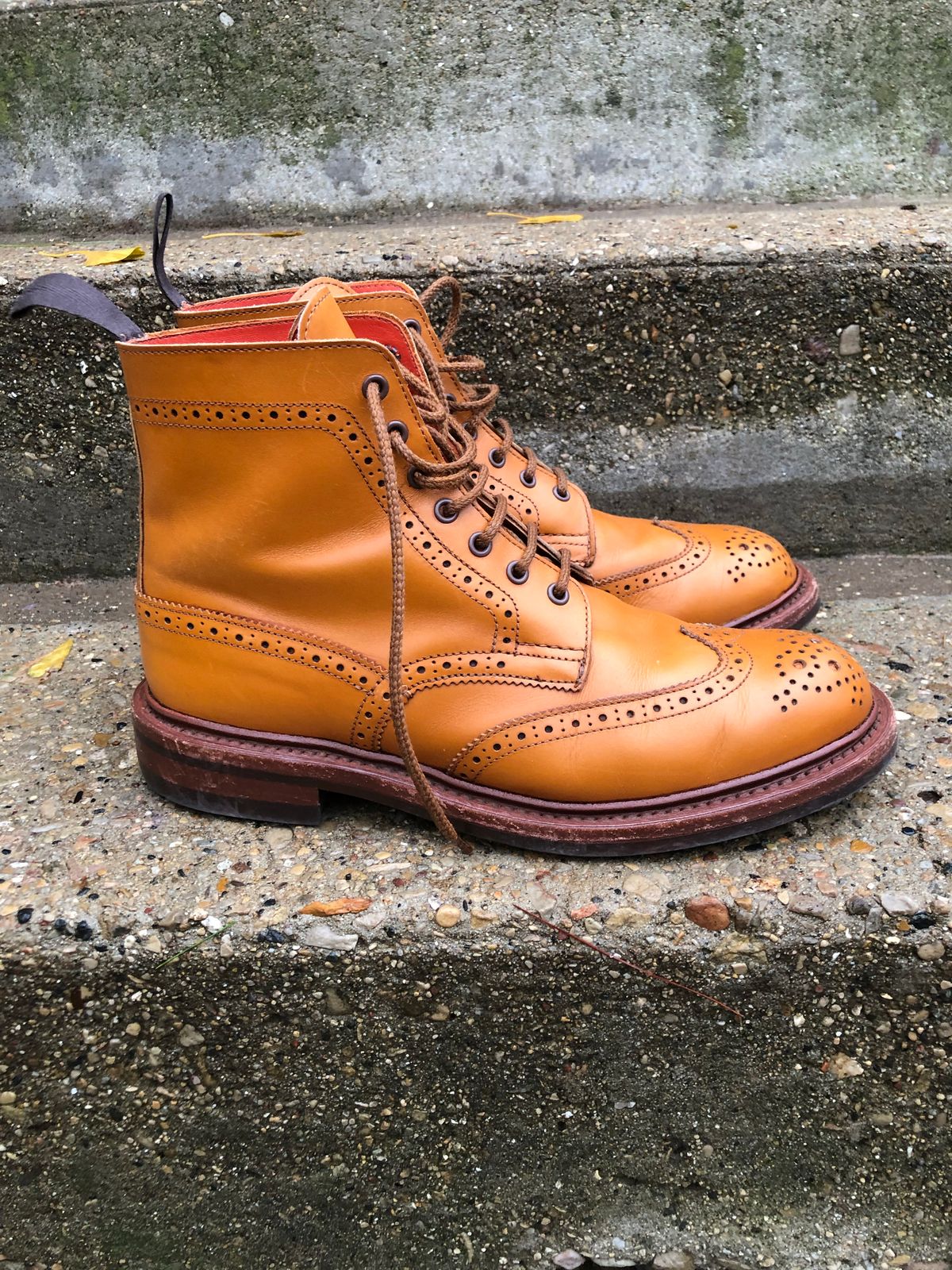 Photo by aganz on November 5, 2022 of the Tricker's Unknown Model in Acorn Antique.