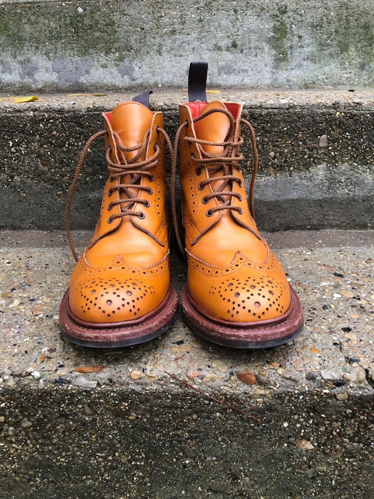 Photo by aganz on November 5, 2022 of the Tricker's Unknown Model in Acorn Antique.