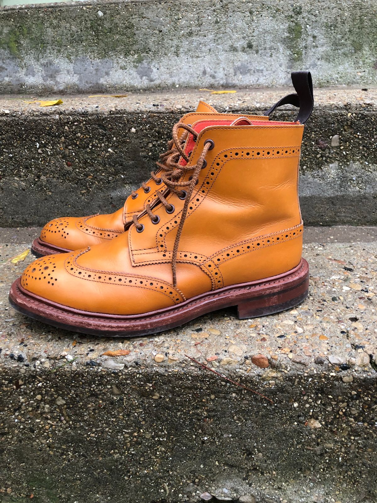 Photo by aganz on November 5, 2022 of the Tricker's Unknown Model in Acorn Antique.