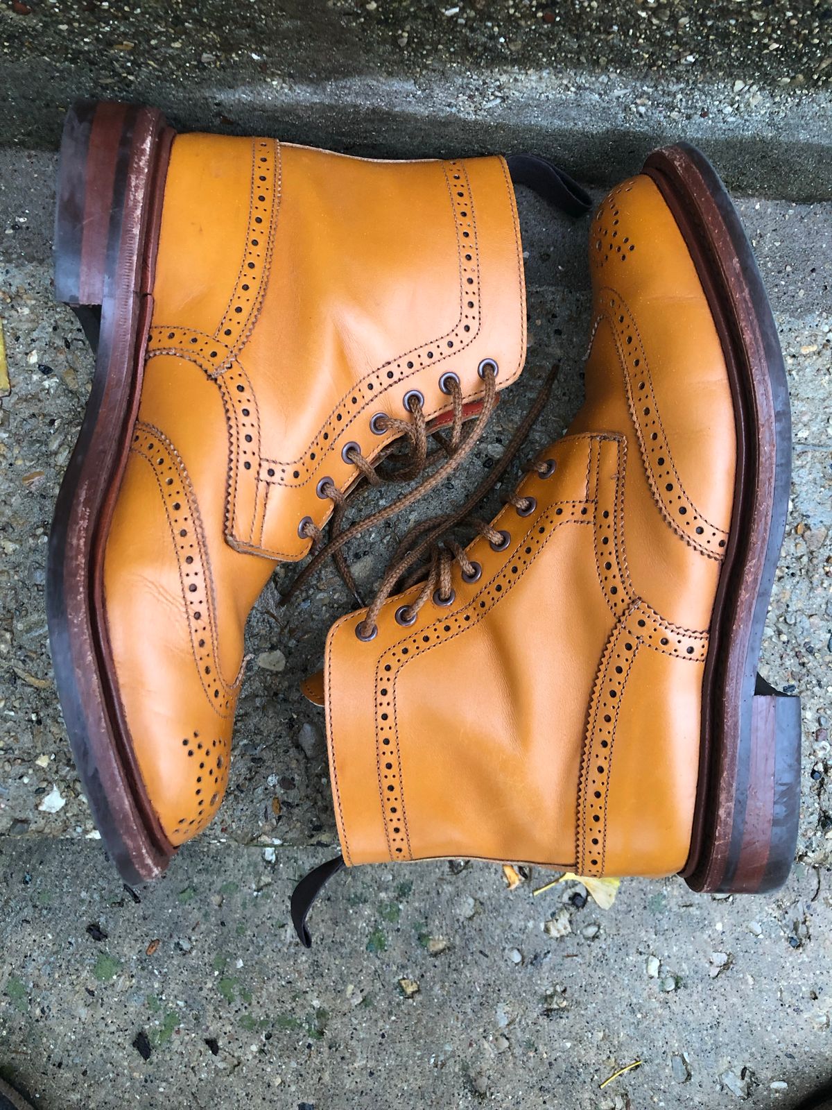 Photo by aganz on November 5, 2022 of the Tricker's Unknown Model in Acorn Antique.