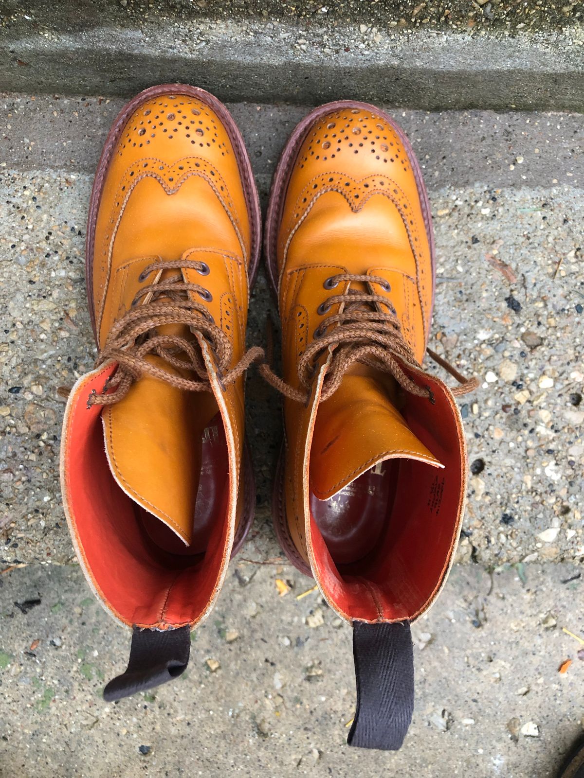 Photo by aganz on November 5, 2022 of the Tricker's Unknown Model in Acorn Antique.