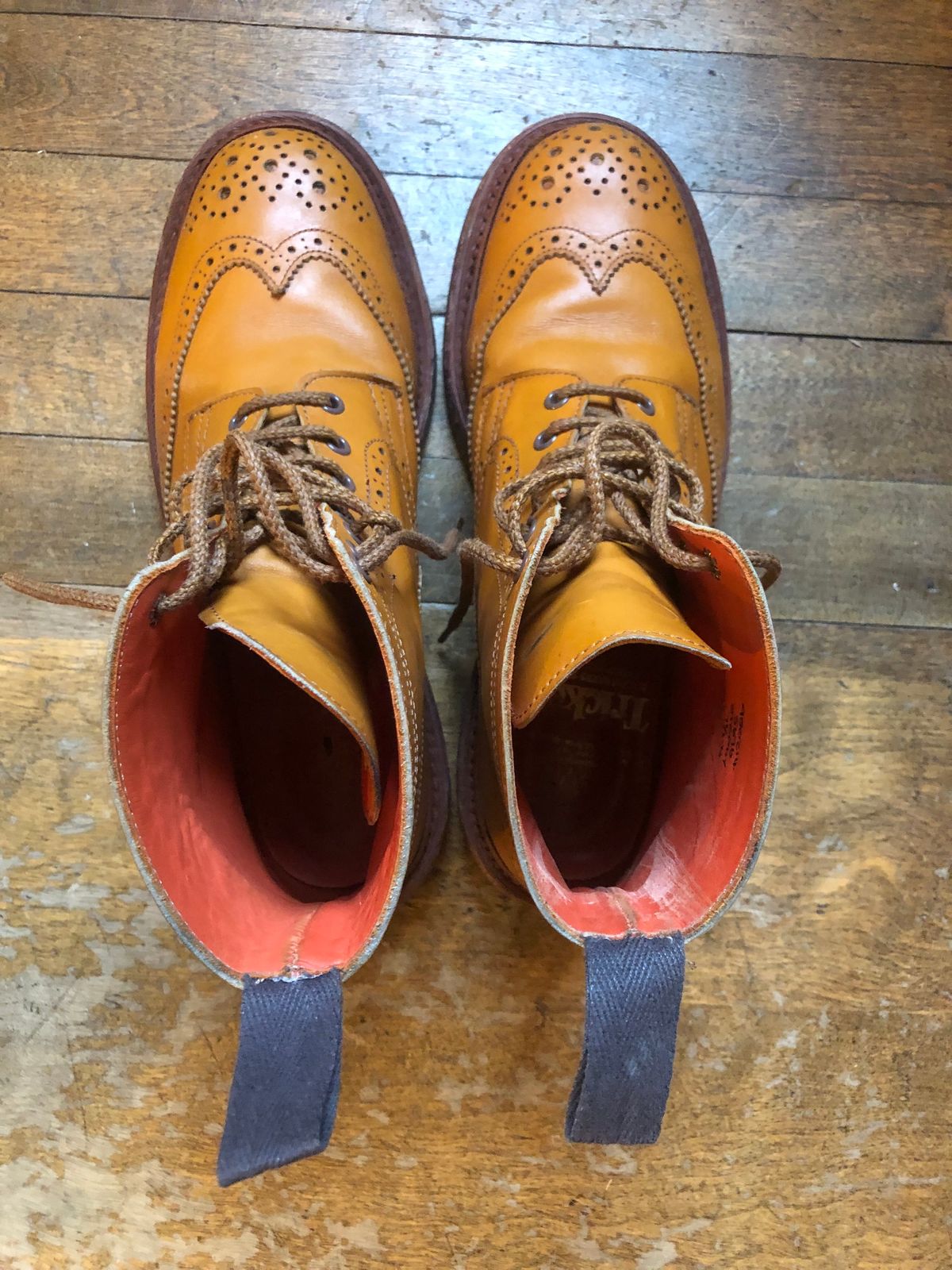 Photo by aganz on January 4, 2023 of the Tricker's Unknown Model in Acorn Antique.