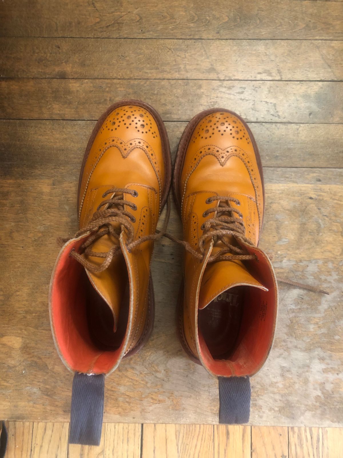 Photo by aganz on February 5, 2023 of the Tricker's Unknown Model in Acorn Antique.