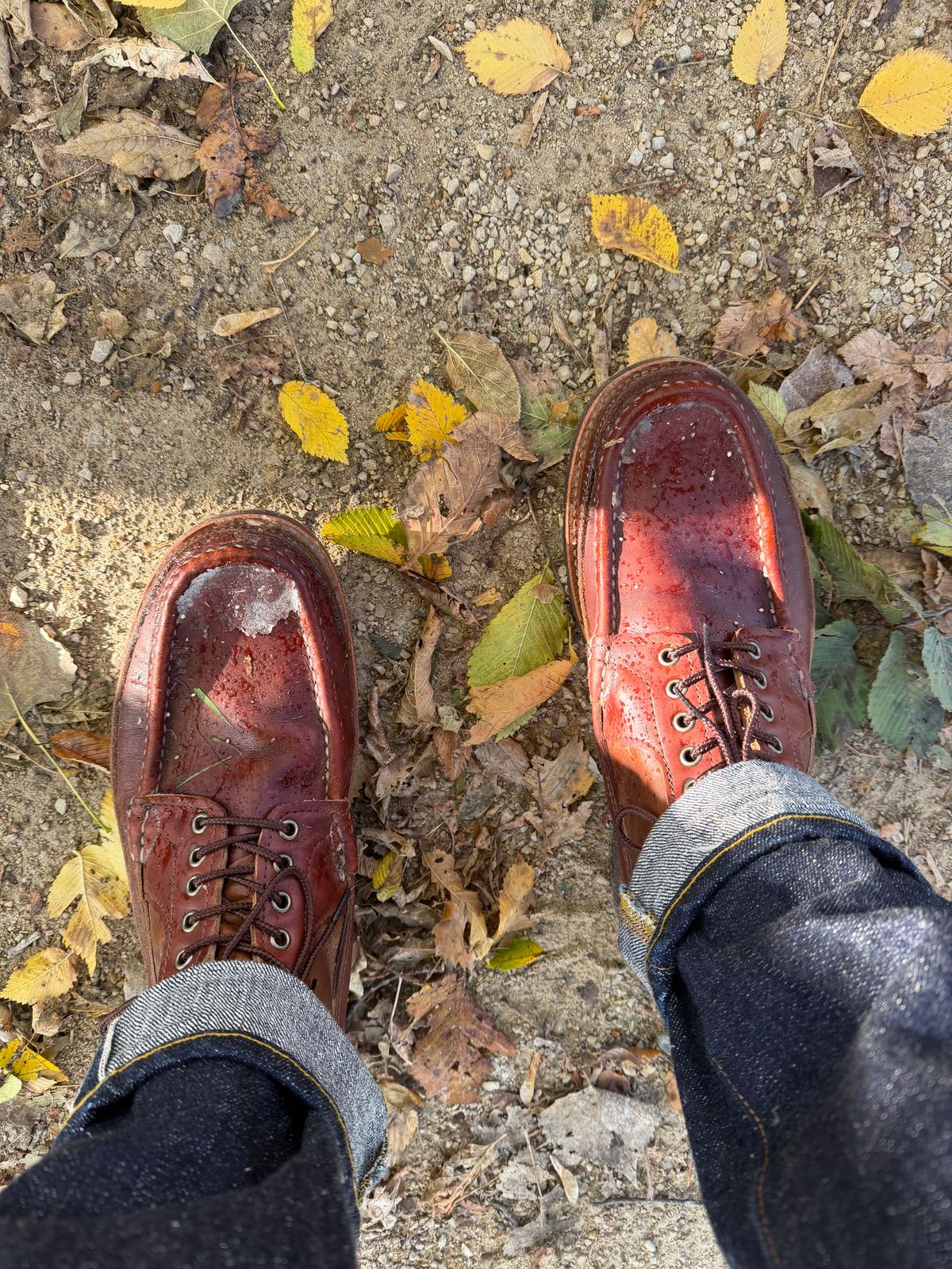 Photo by rufio on October 24, 2025 of the Russell Moccasin Co. Custom Model in Seidel Crust Double Shot.
