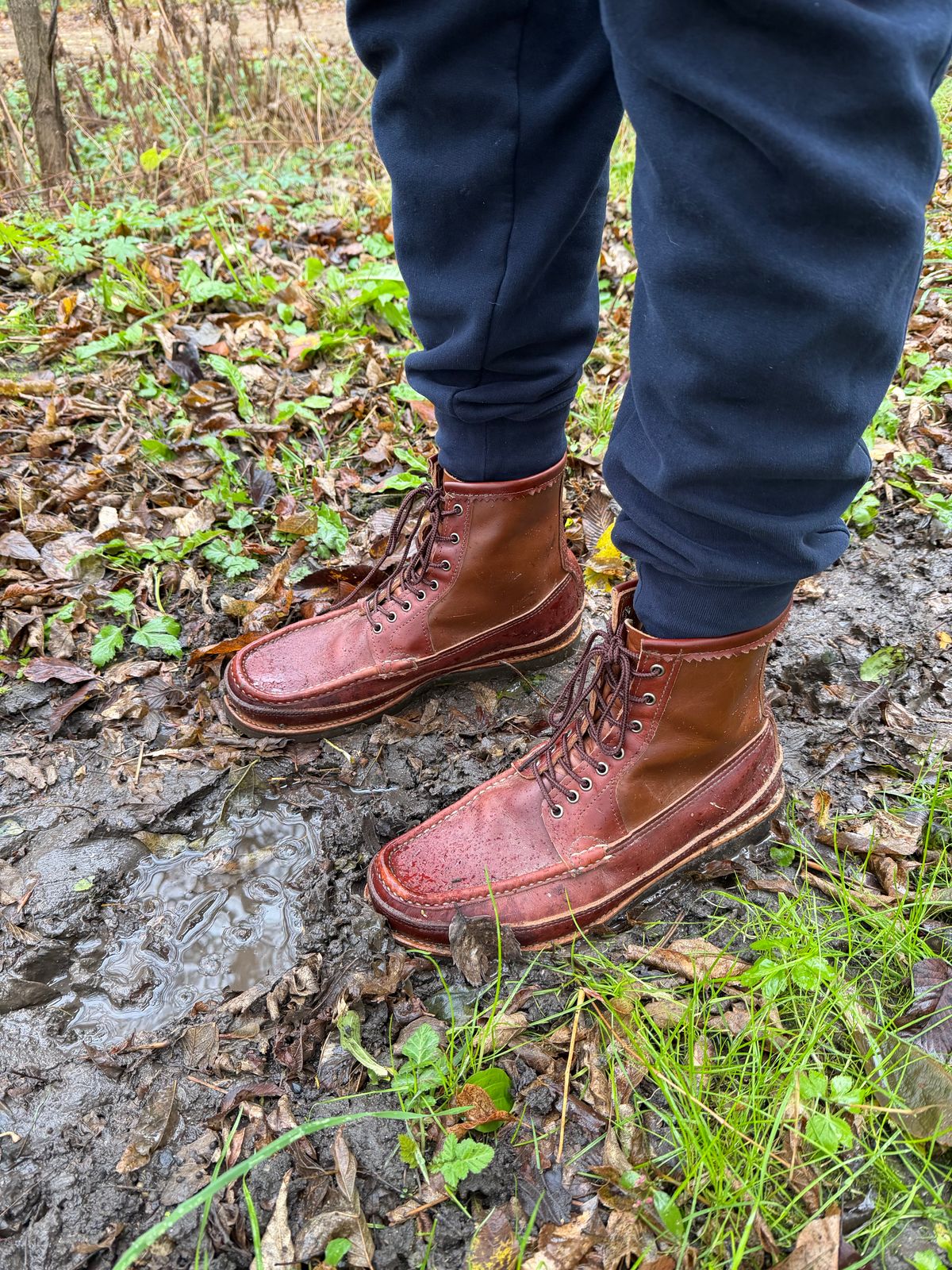 Photo by rufio on November 1, 2025 of the Russell Moccasin Co. Custom Model in Seidel Crust Double Shot.