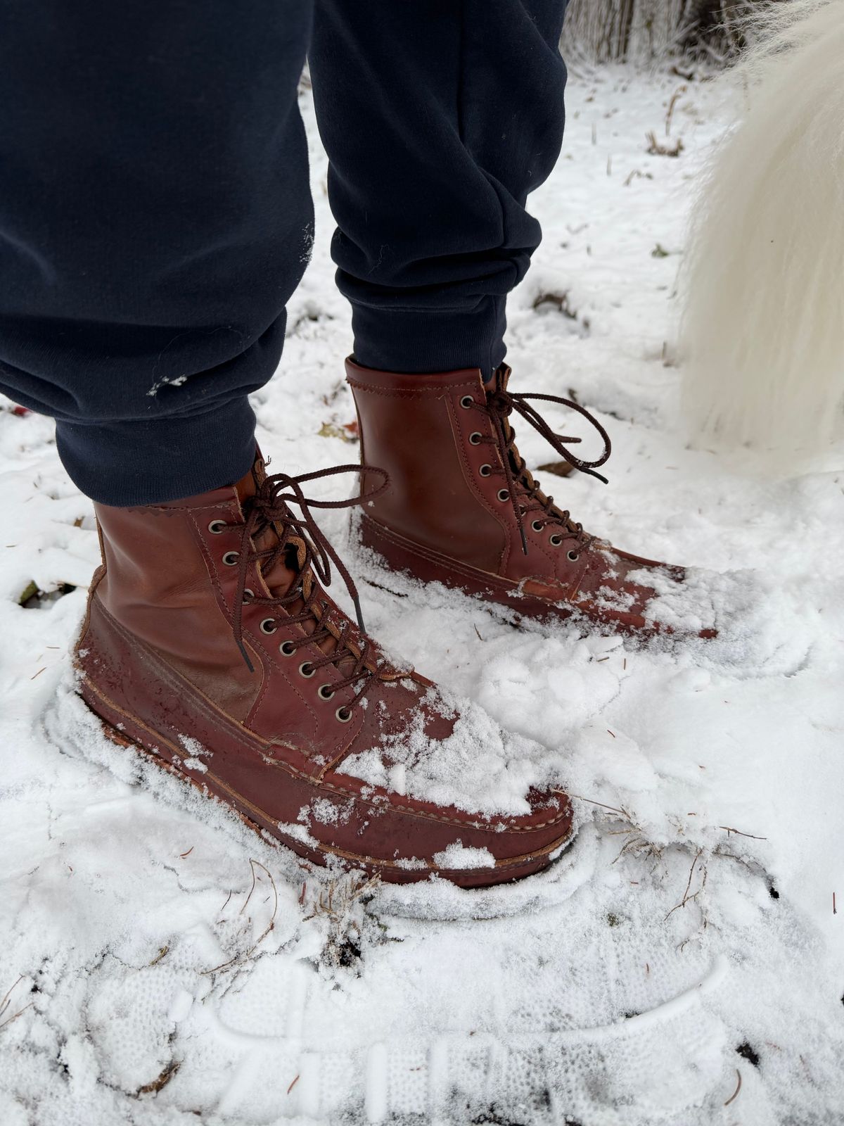 Photo by rufio on November 26, 2025 of the Russell Moccasin Co. Custom Model in Seidel Crust Double Shot.