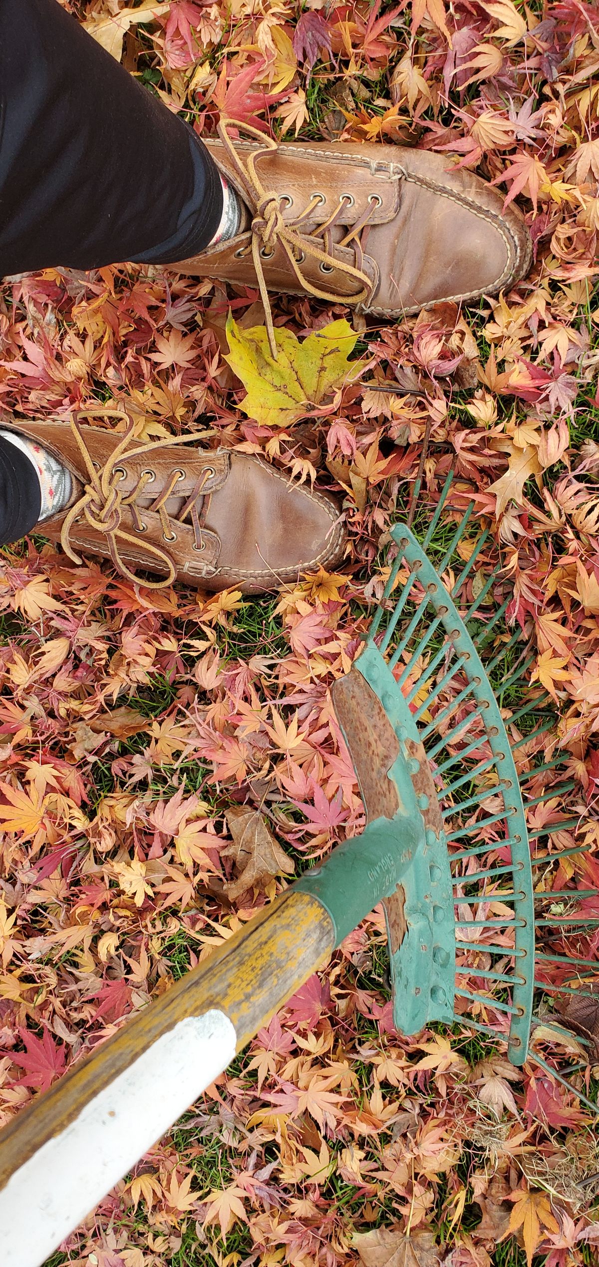 Photo by up2in2 on November 24, 2023 of the Oak Street Bootmakers Camp Boot in Horween Natural Chromexcel.