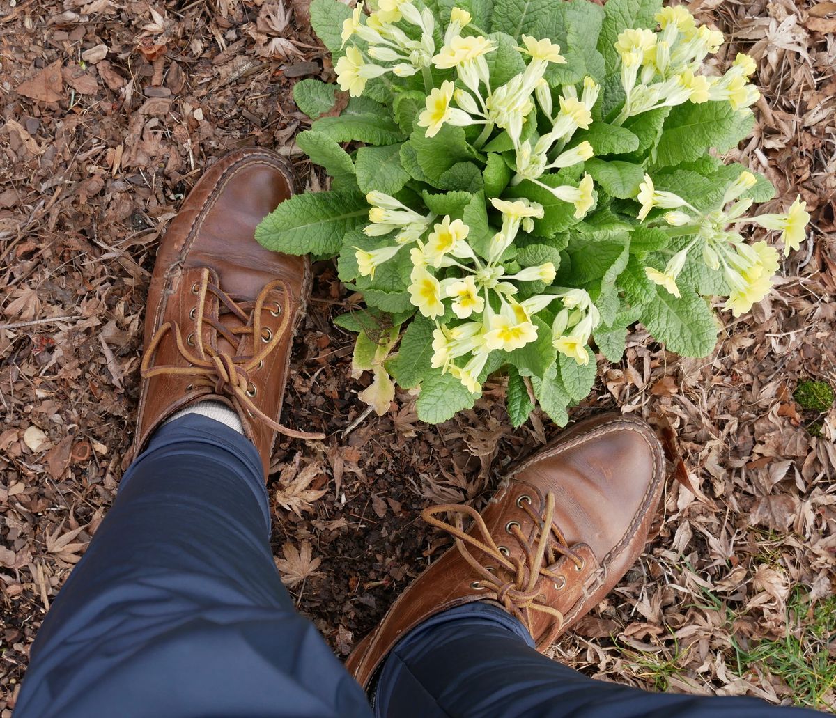 Photo by up2in2 on April 5, 2024 of the Oak Street Bootmakers Camp Boot in Horween Natural Chromexcel.