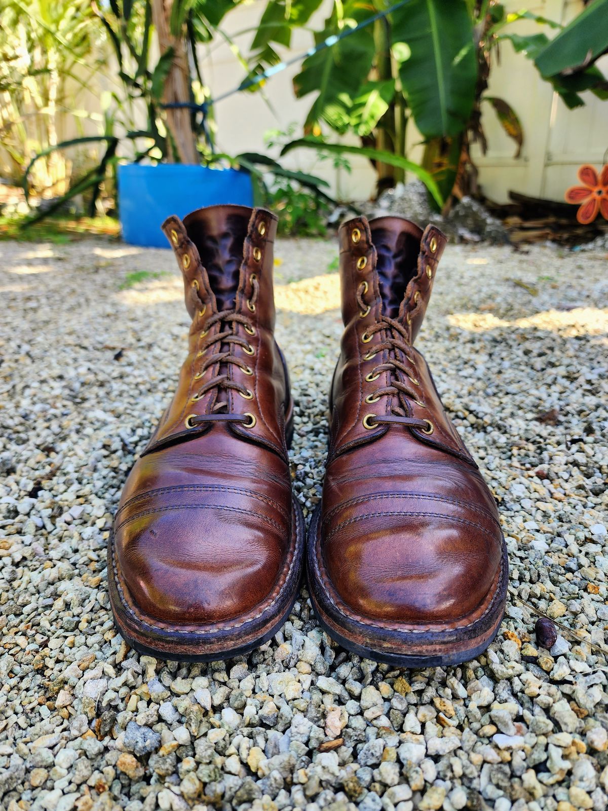 Photo by Capt305 on February 5, 2023 of the White's MP-M1TC in Horween Natural Chromexcel.