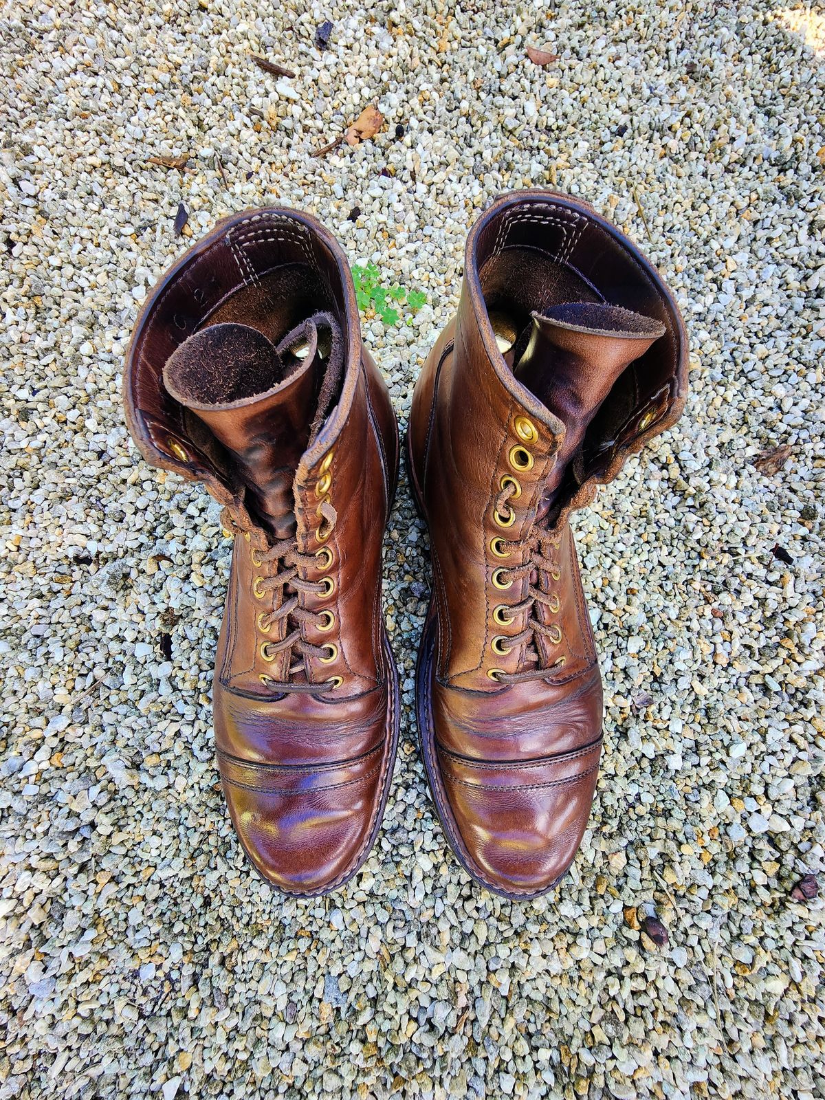 Photo by Capt305 on February 5, 2023 of the White's MP-M1TC in Horween Natural Chromexcel.