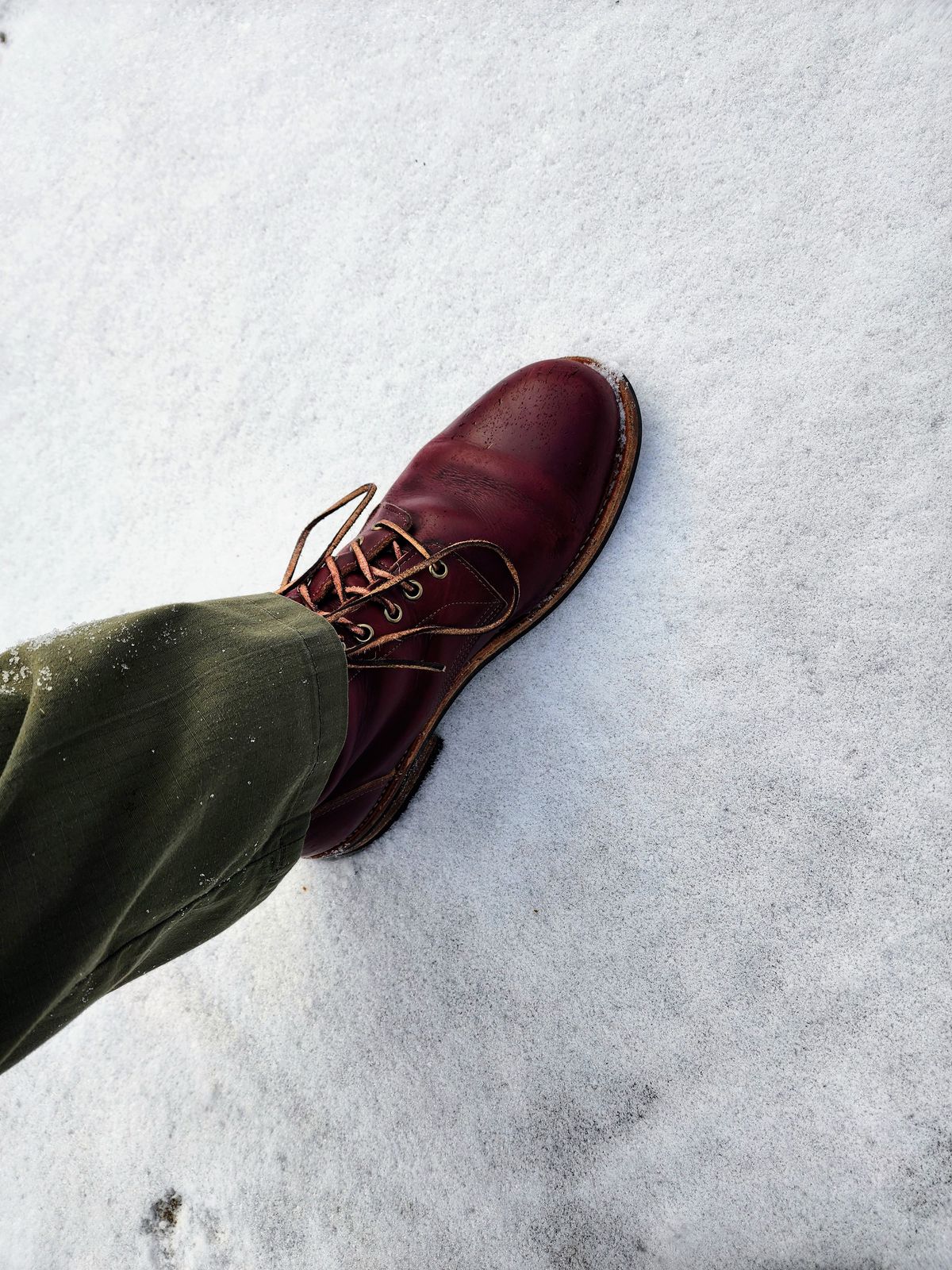 Photo by Capt305 on January 5, 2024 of the Oak Street Bootmakers Trench Boot in Horween Color 8 Chromexcel.