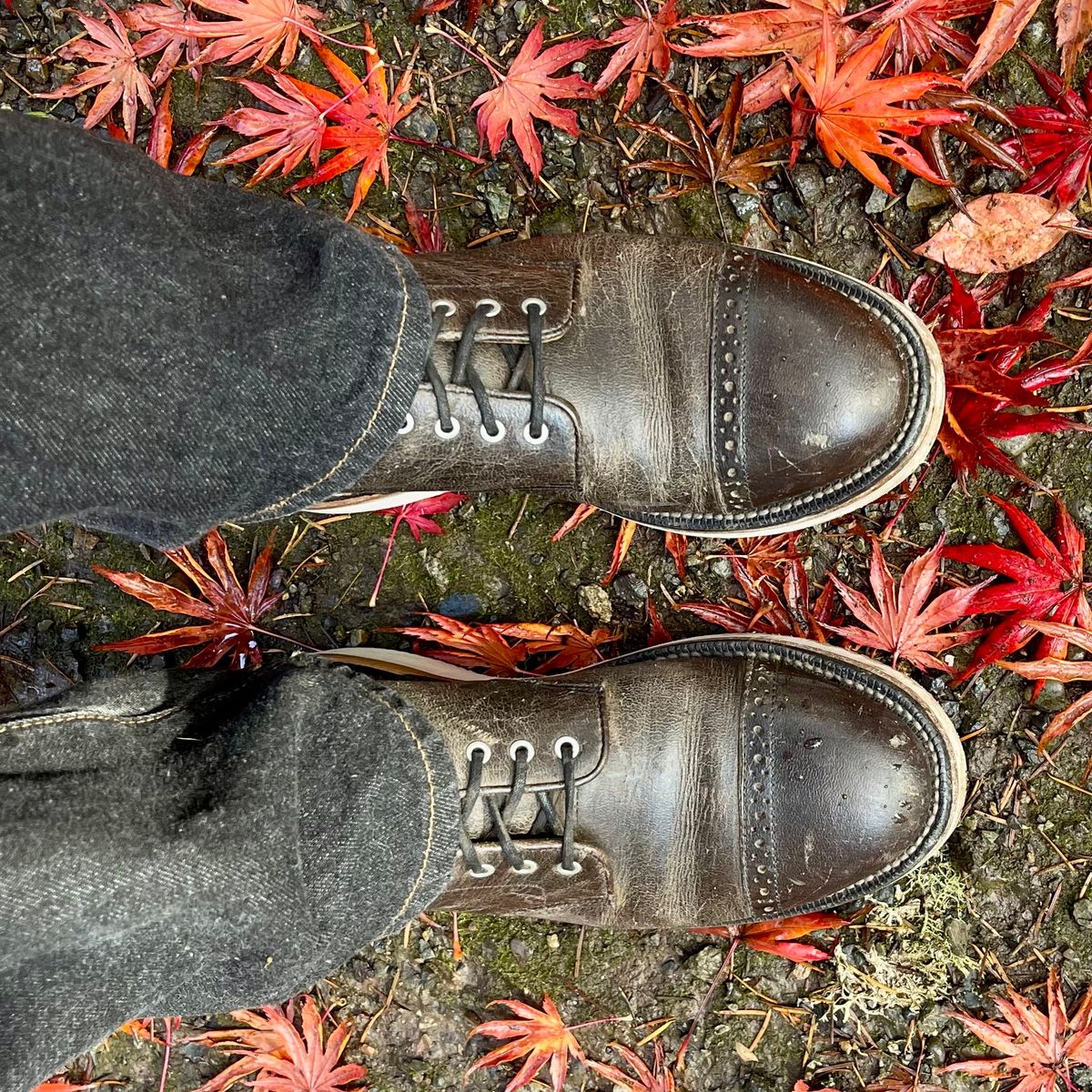 Photo by renee2day on November 6, 2024 of the Grant Stone Garrison Boot in Black Waxed Deer.