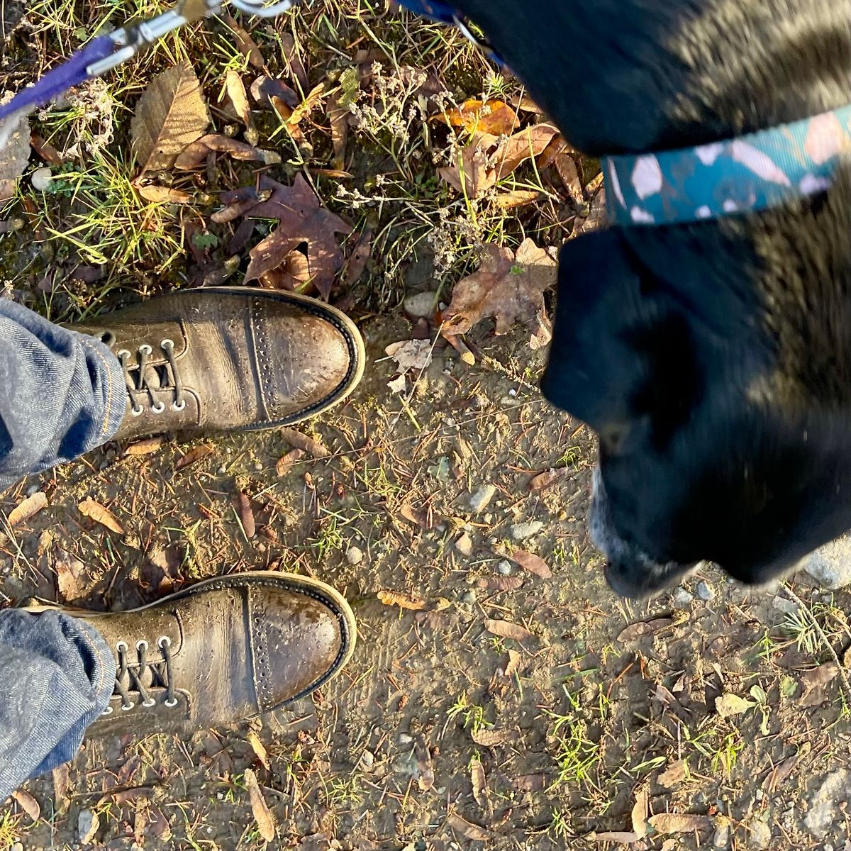 Photo by renee2day on December 5, 2024 of the Grant Stone Garrison Boot in Black Waxed Deer.