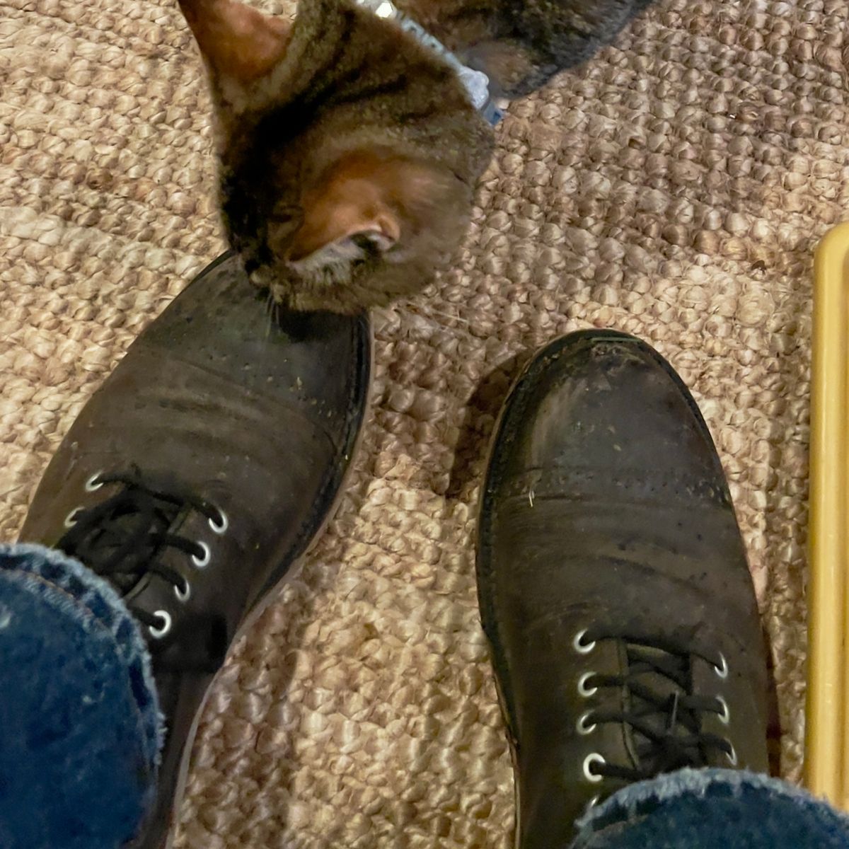 Photo by renee2day on December 28, 2024 of the Grant Stone Garrison Boot in Black Waxed Deer.