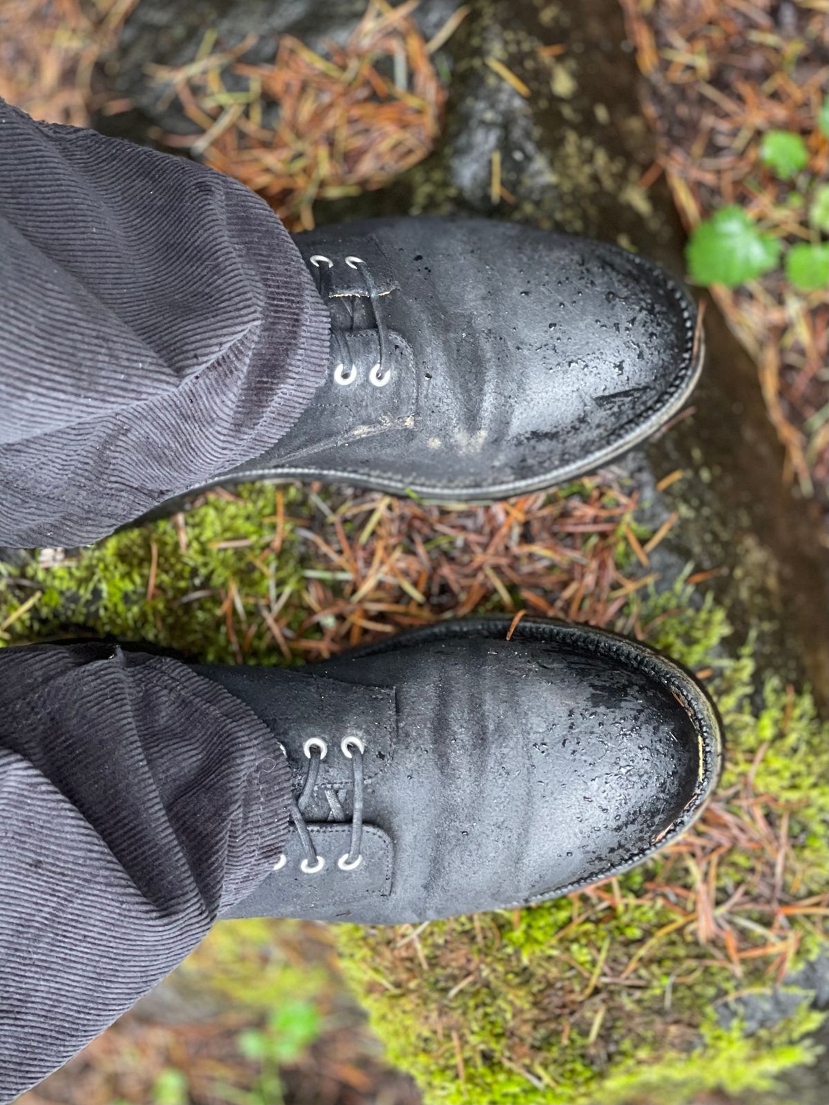 Photo by renee2day on December 6, 2023 of the Grant Stone Edward Boot in C.F. Stead Black Waxy Commander Suede.