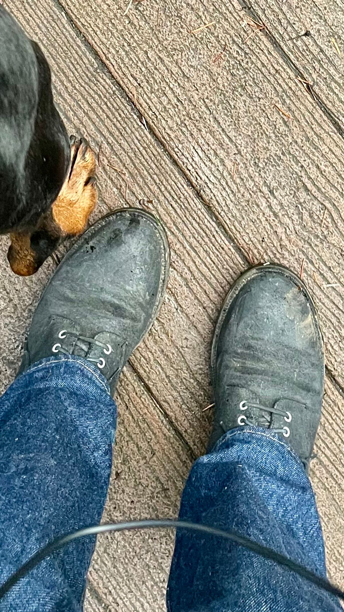 Photo by renee2day on February 5, 2024 of the Grant Stone Edward Boot in C.F. Stead Black Waxy Commander Suede.