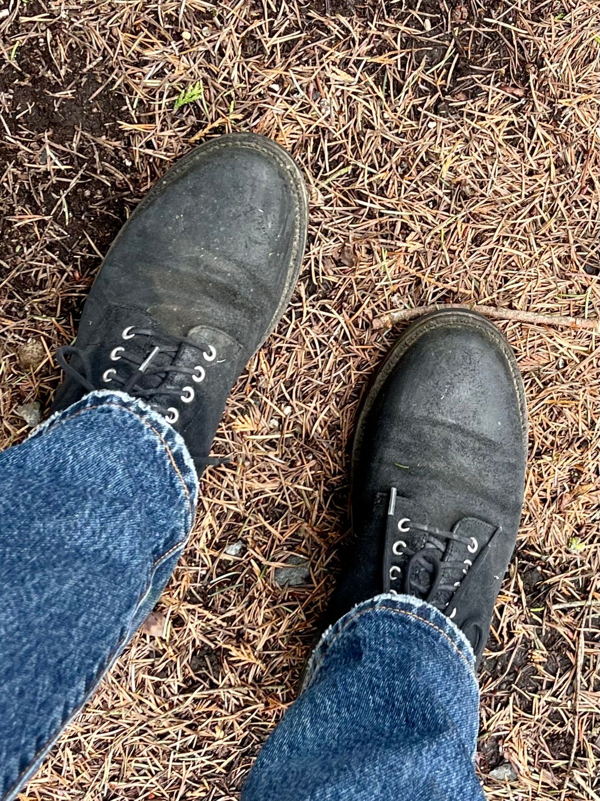 Photo by renee2day on April 4, 2024 of the Grant Stone Edward Boot in C.F. Stead Black Waxy Commander Suede.