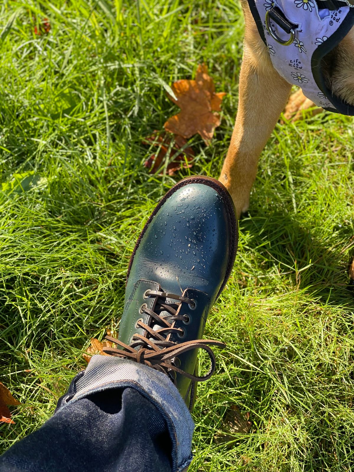Photo by renee2day on October 1, 2023 of the Grant Stone Diesel Boot in Horween Navy Chromexcel.