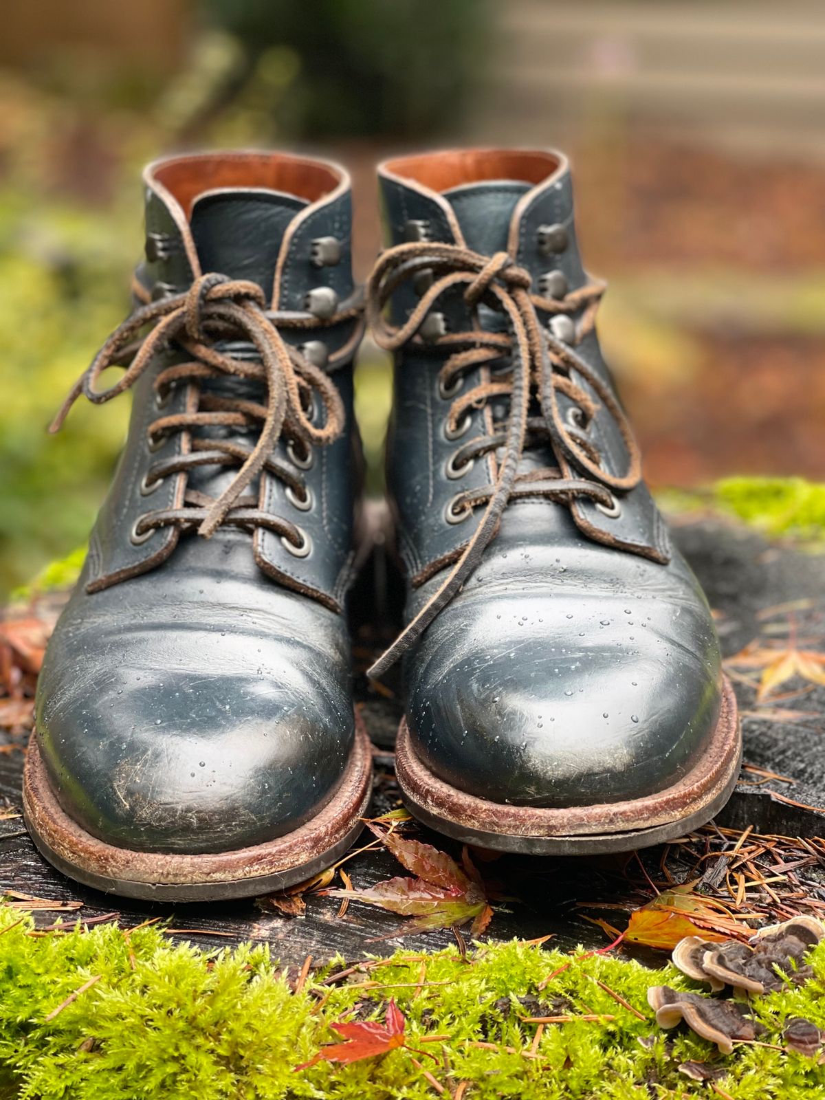 Photo by renee2day on November 1, 2023 of the Grant Stone Diesel Boot in Horween Navy Chromexcel.