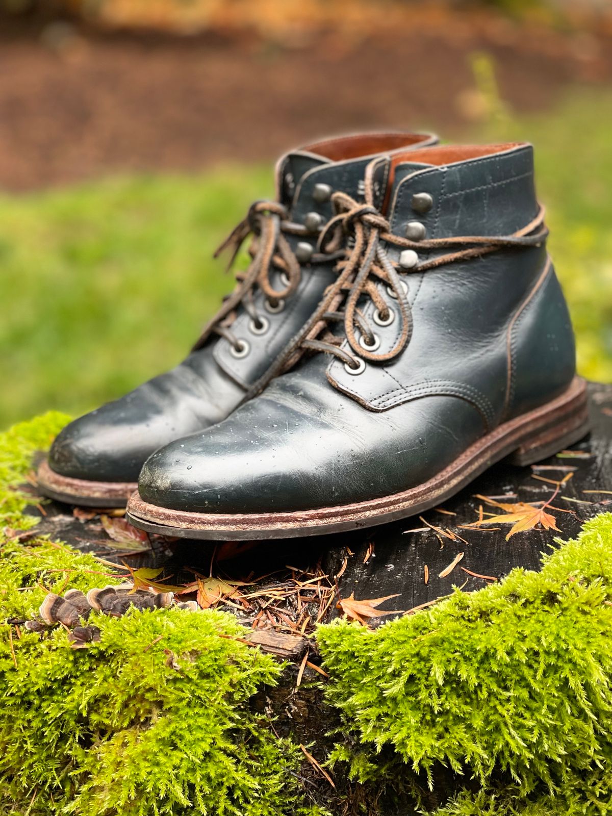 Photo by renee2day on November 1, 2023 of the Grant Stone Diesel Boot in Horween Navy Chromexcel.