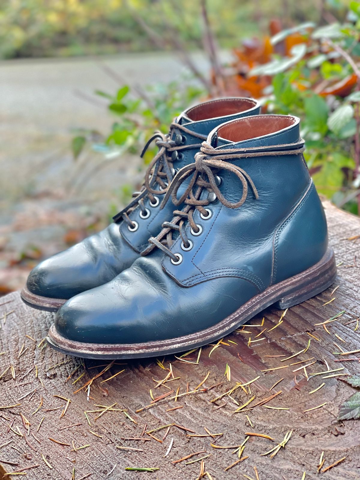 Photo by renee2day on December 4, 2023 of the Grant Stone Diesel Boot in Horween Navy Chromexcel.