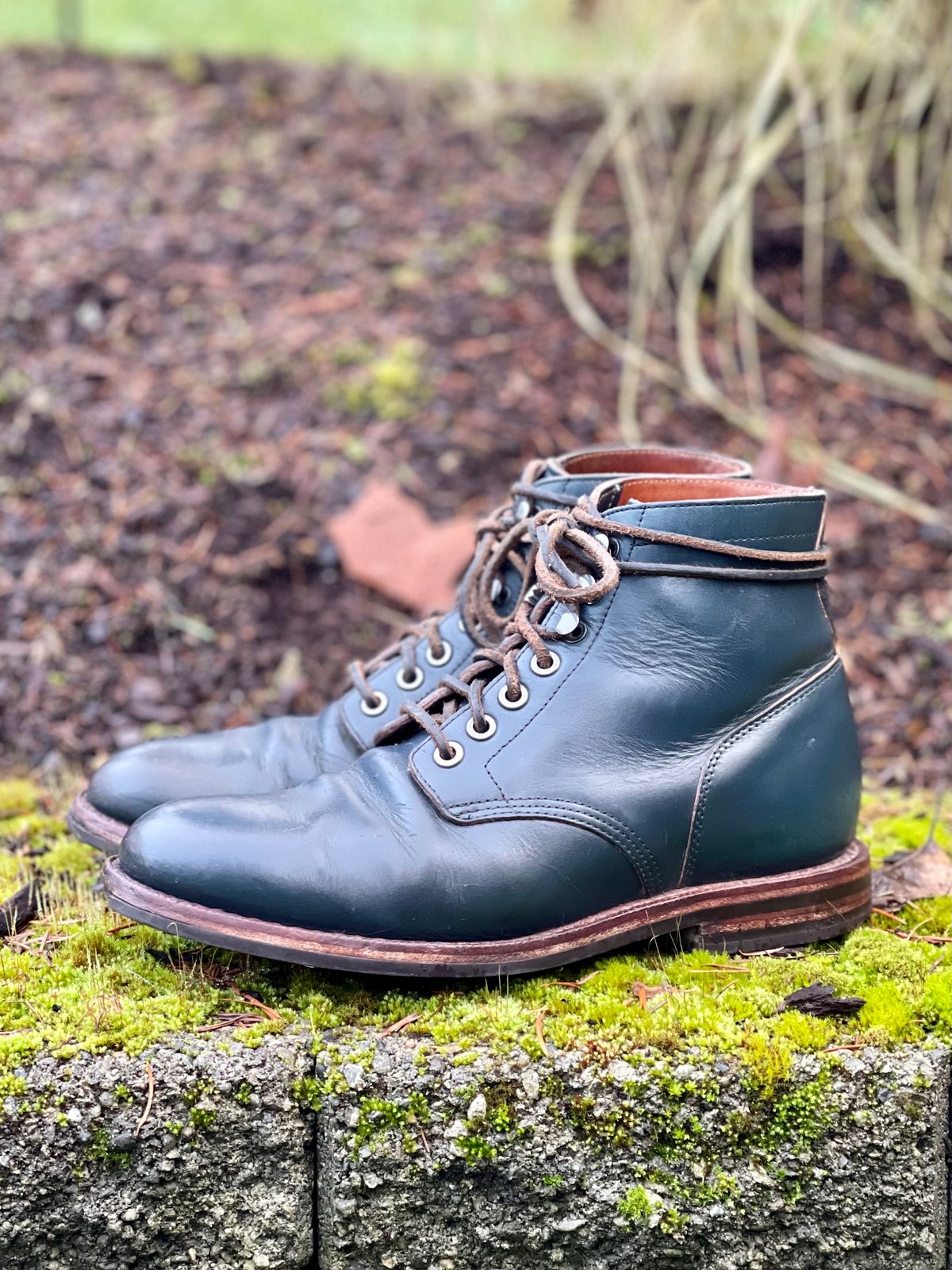 Photo by renee2day on January 3, 2024 of the Grant Stone Diesel Boot in Horween Navy Chromexcel.