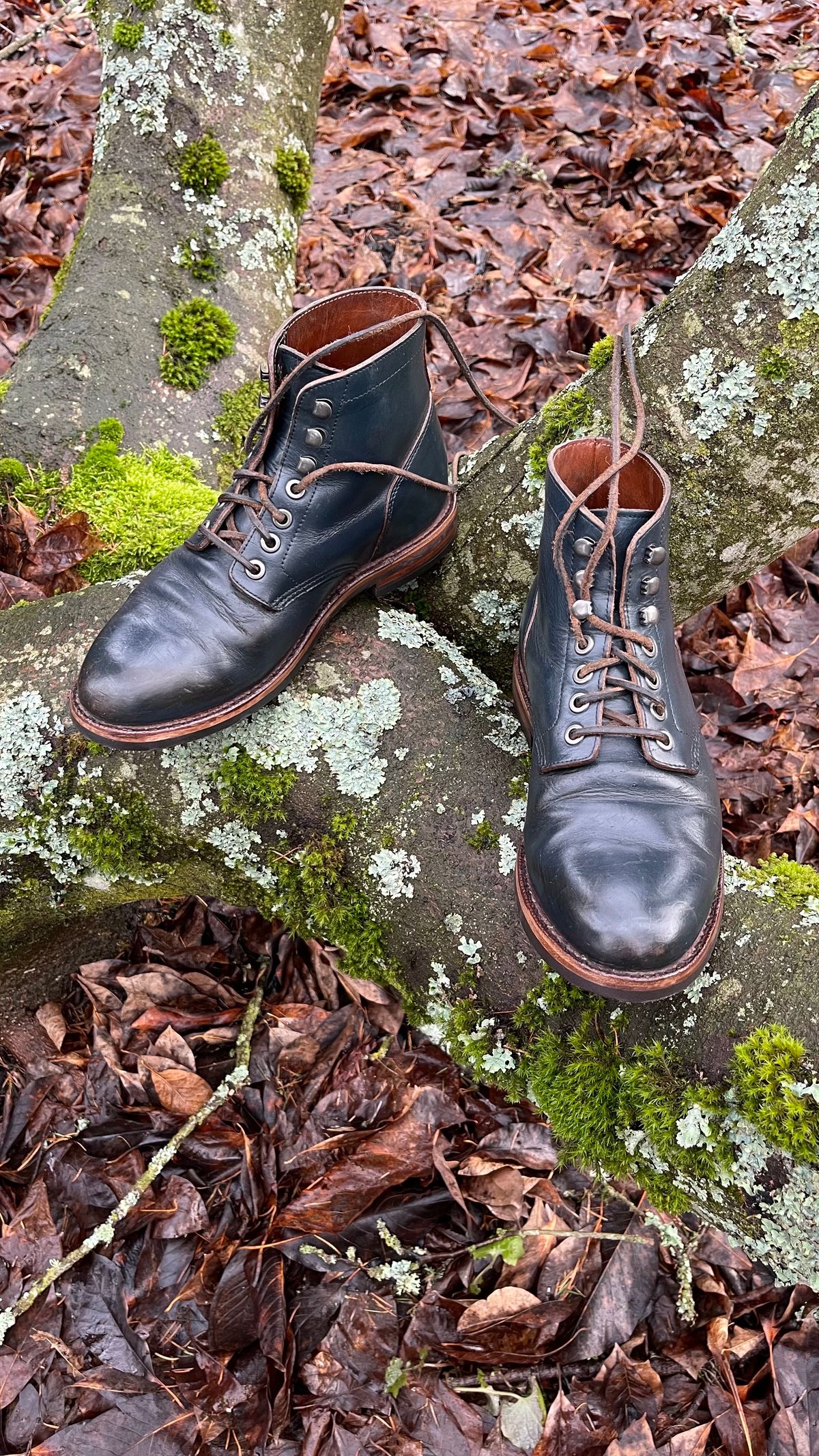 Photo by renee2day on January 19, 2024 of the Grant Stone Diesel Boot in Horween Navy Chromexcel.