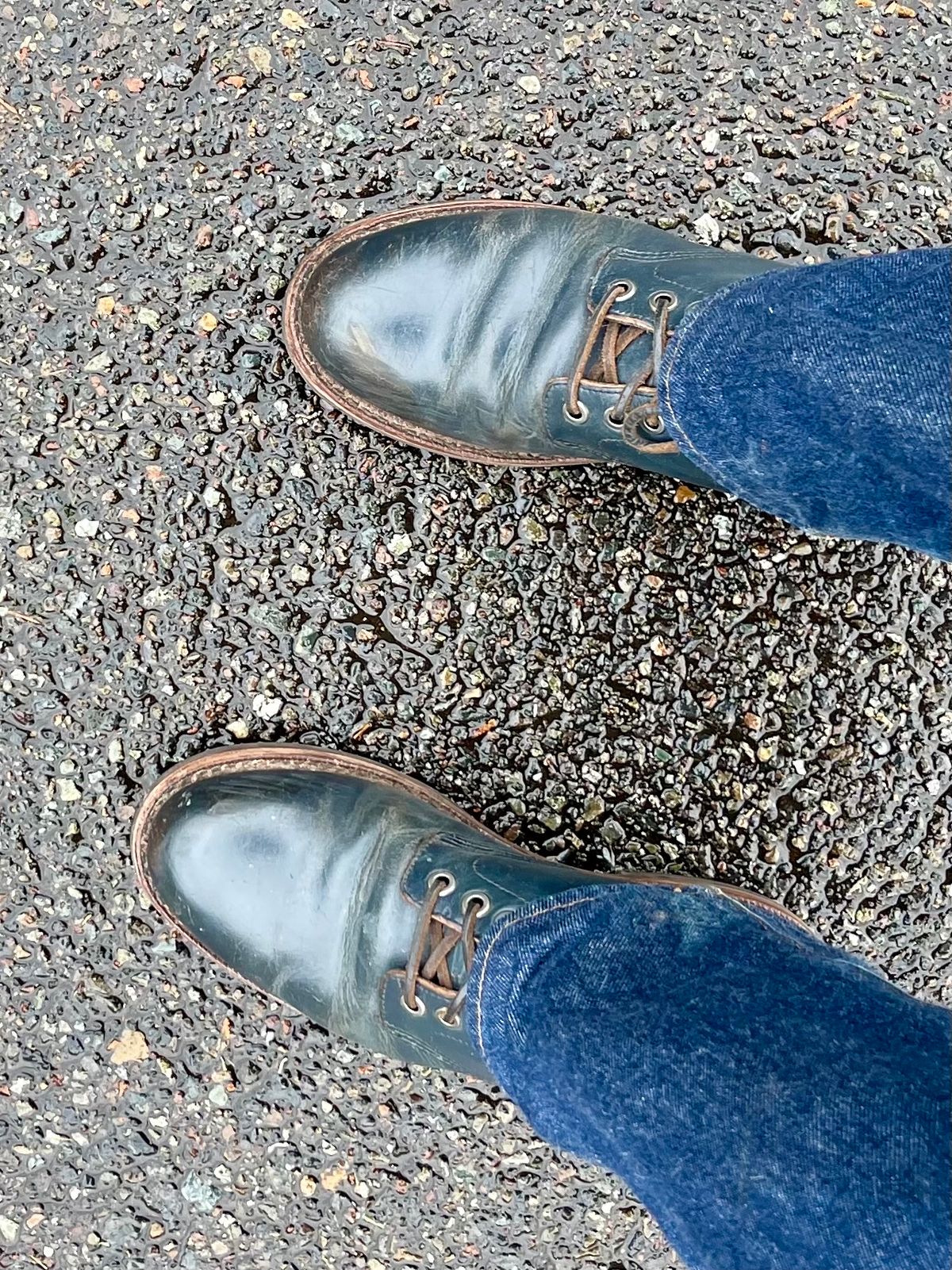 Photo by renee2day on February 5, 2024 of the Grant Stone Diesel Boot in Horween Navy Chromexcel.