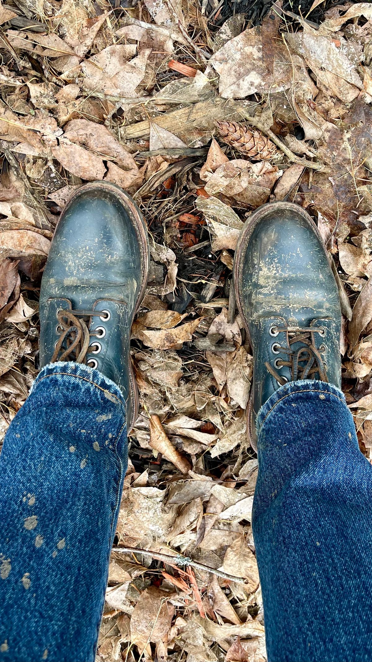 Photo by renee2day on March 3, 2024 of the Grant Stone Diesel Boot in Horween Navy Chromexcel.