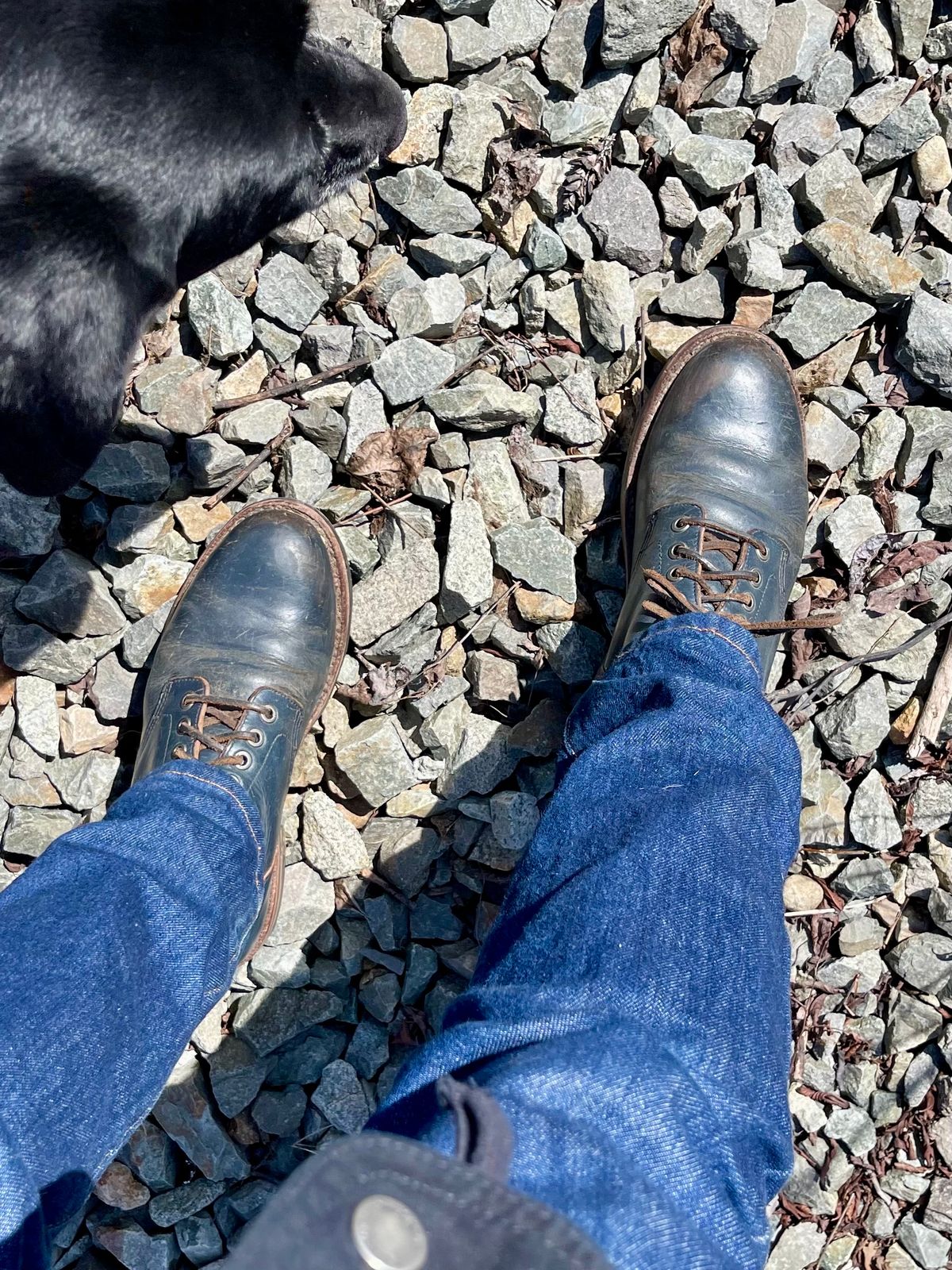 Photo by renee2day on April 4, 2024 of the Grant Stone Diesel Boot in Horween Navy Chromexcel.