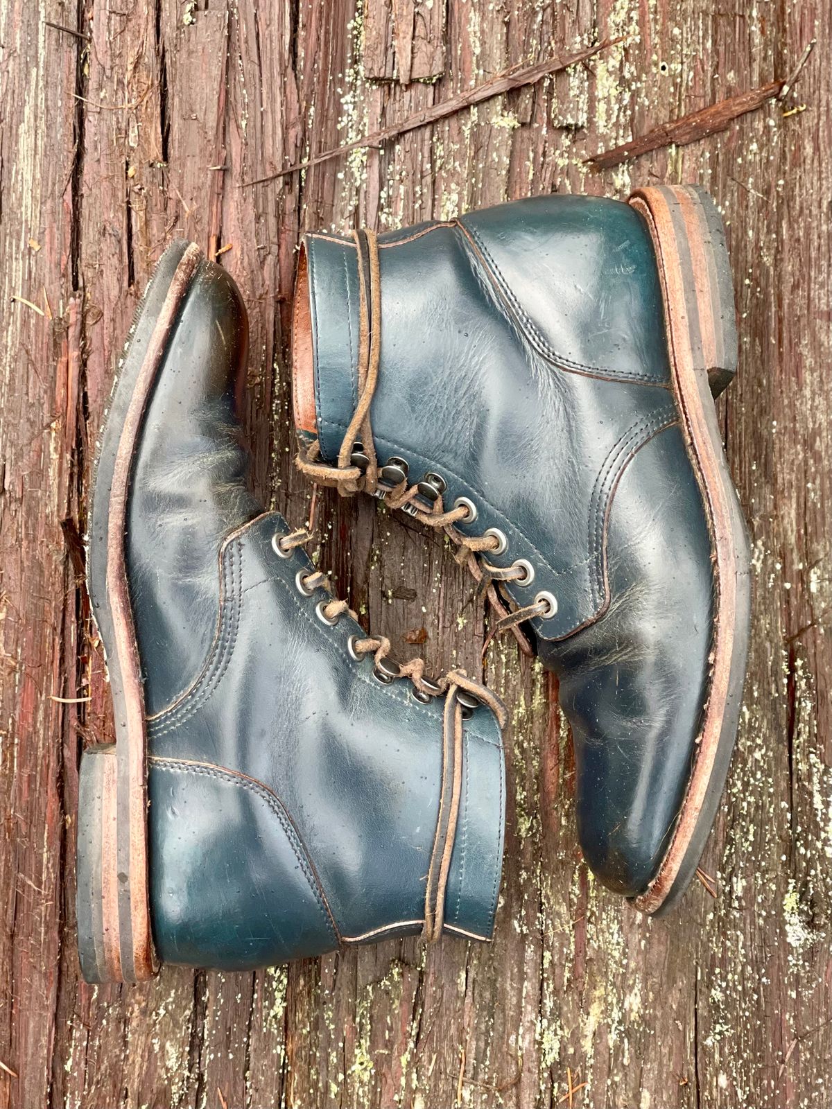 Photo by renee2day on April 5, 2024 of the Grant Stone Diesel Boot in Horween Navy Chromexcel.