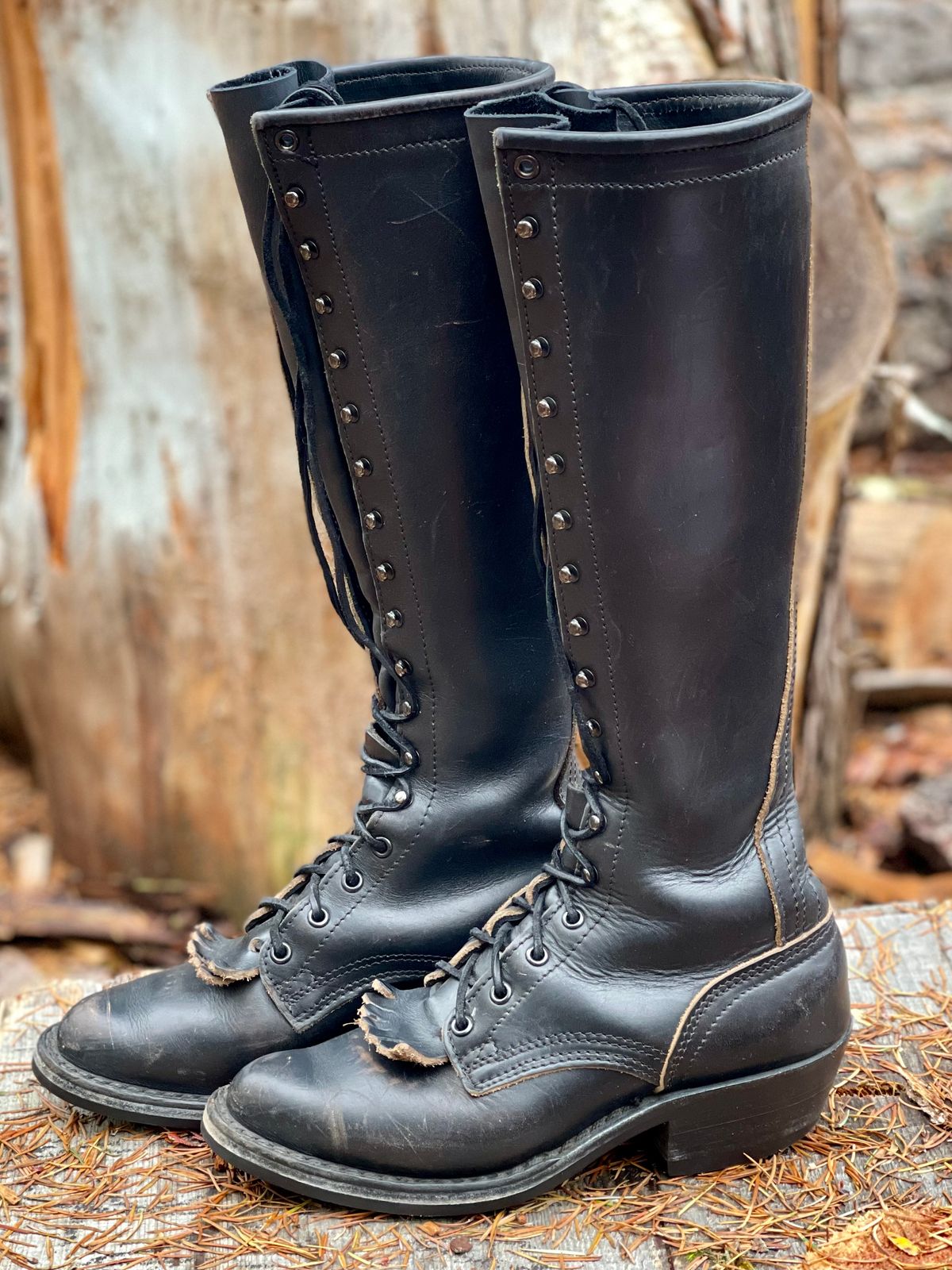 Photo by renee2day on November 4, 2025 of the Nicks Packer in Horween Black Chromexcel.