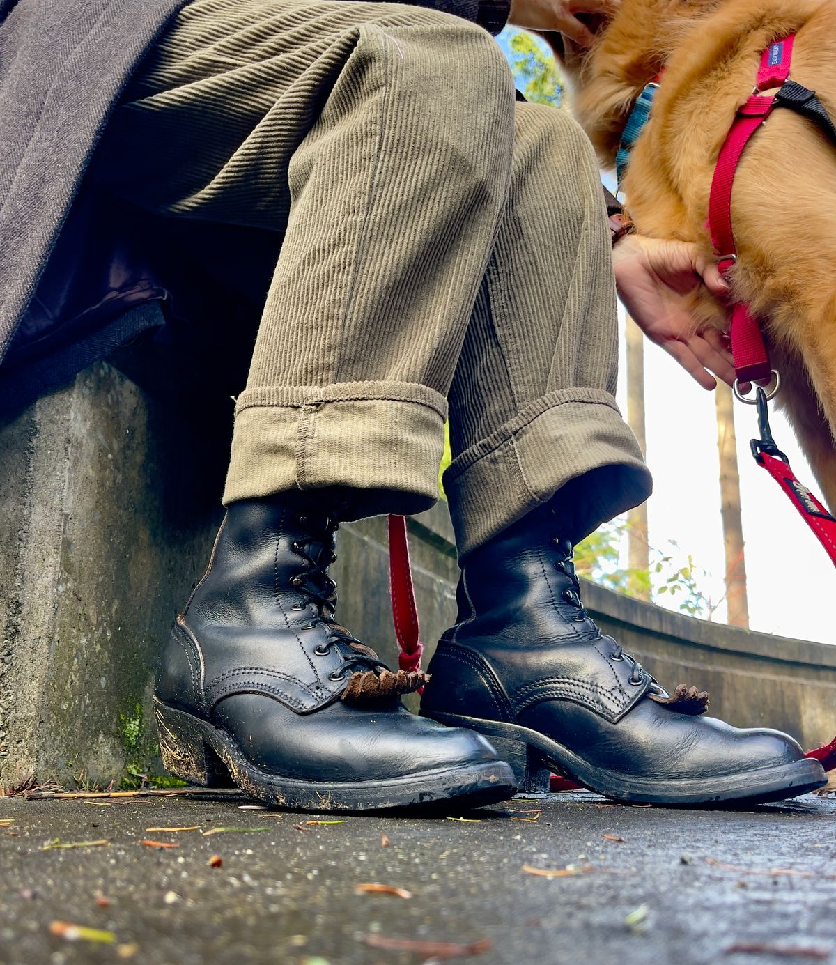 Photo by renee2day on February 5, 2026 of the Nicks Packer in Horween Black Chromexcel.