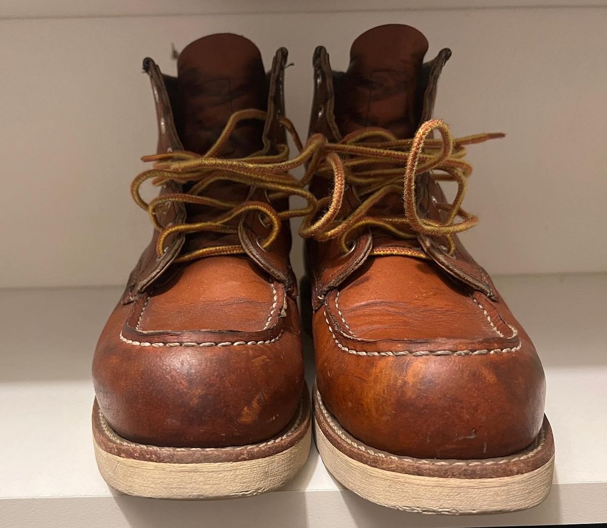 Photo by stuntman on August 28, 2022 of the Red Wing 6-Inch Classic Moc in S.B. Foot Oro Legacy.
