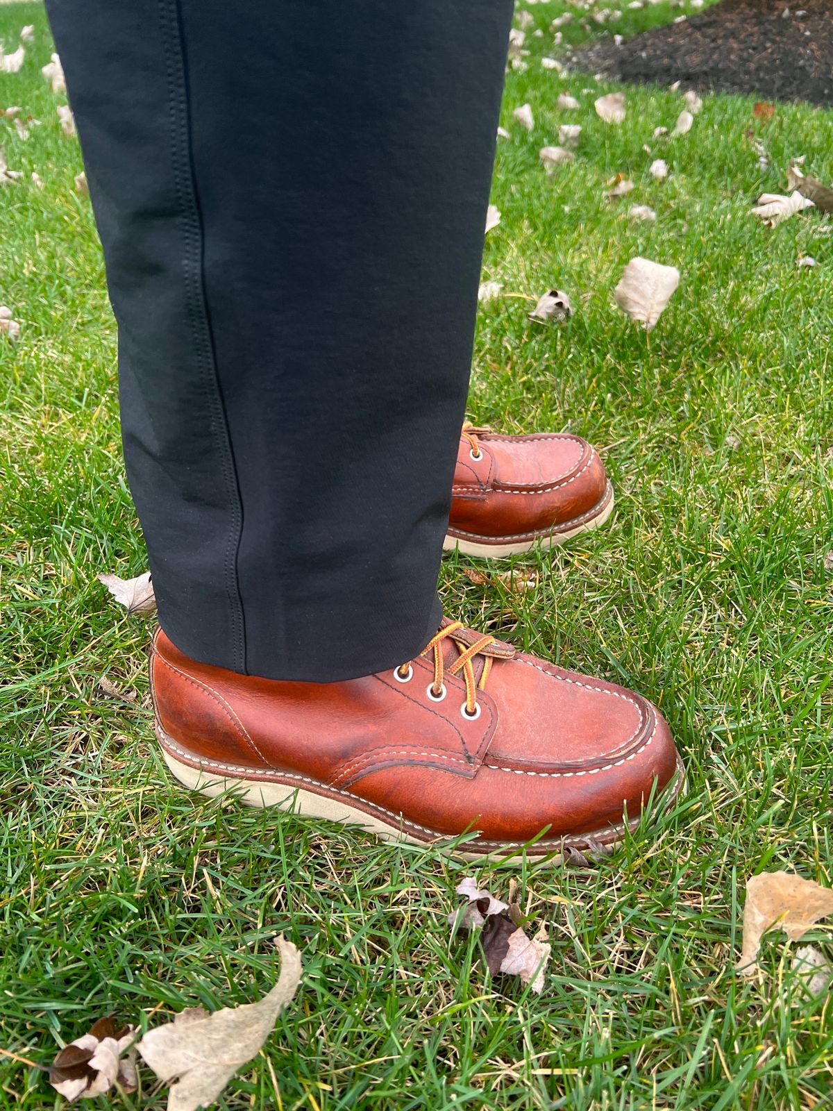 Photo by stuntman on November 7, 2023 of the Red Wing 6-Inch Classic Moc in S.B. Foot Oro Legacy.