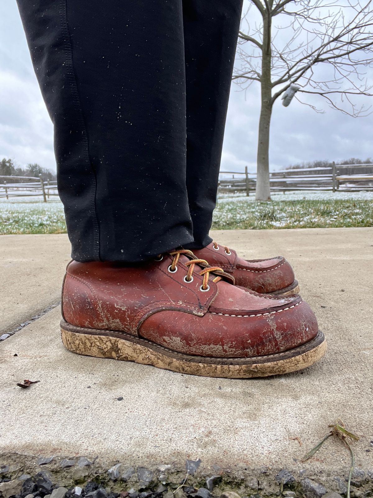 Photo by stuntman on January 1, 2024 of the Red Wing 6-Inch Classic Moc in S.B. Foot Oro Legacy.