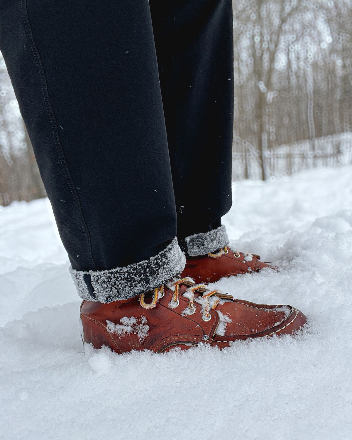 Photo by stuntman on January 15, 2024 of the Red Wing 6-Inch Classic Moc in S.B. Foot Oro Legacy.