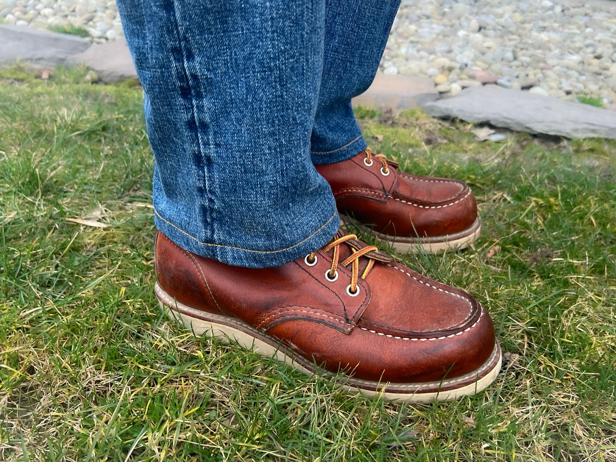 Photo by stuntman on February 11, 2024 of the Red Wing 6-Inch Classic Moc in S.B. Foot Oro Legacy.